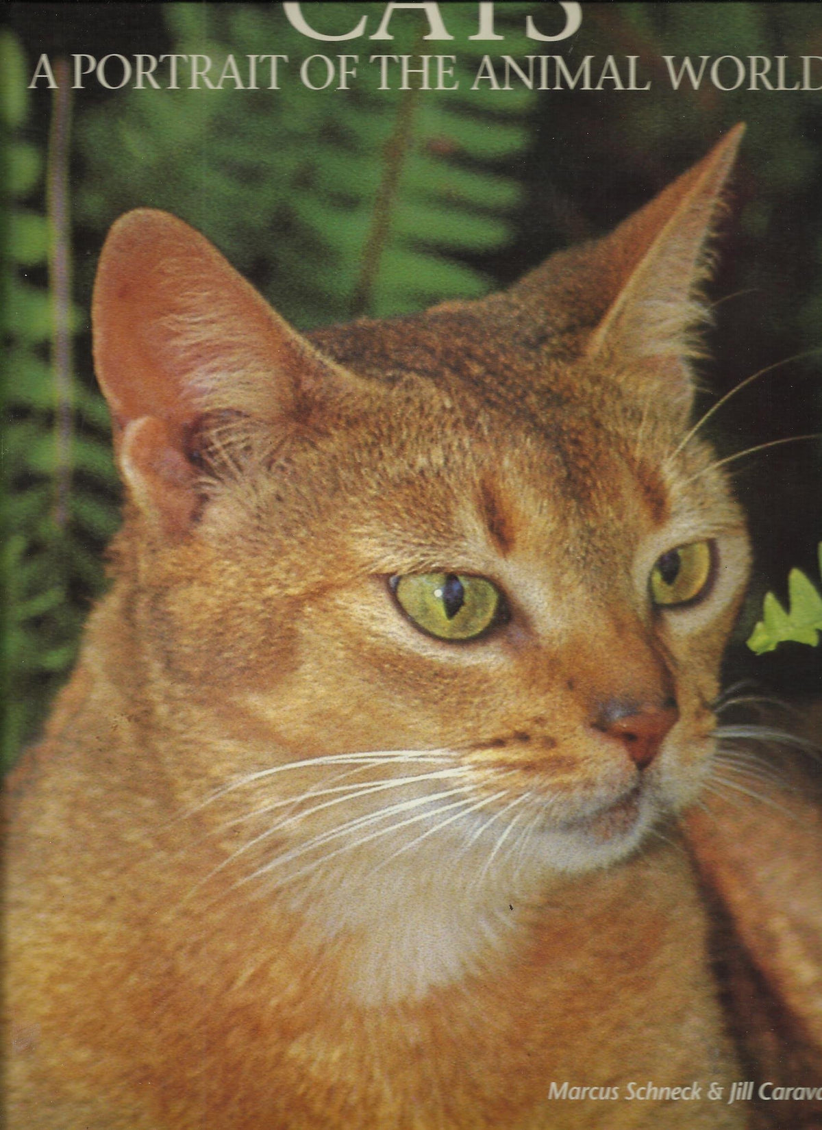 Cats: A Portrait of the Animal World (Portraits of the Animal World)