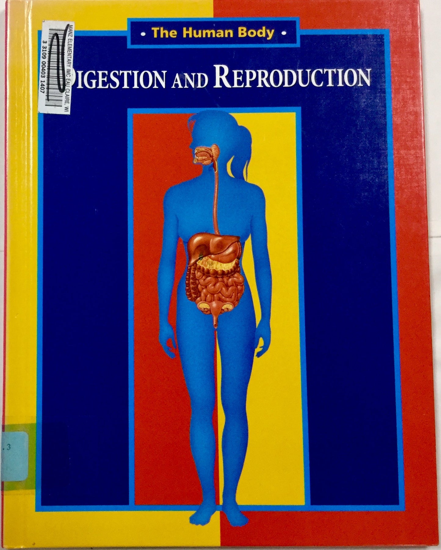 Digestion and Reproduction (Human Body)