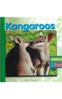 Kangaroos (Animals Are Fun)