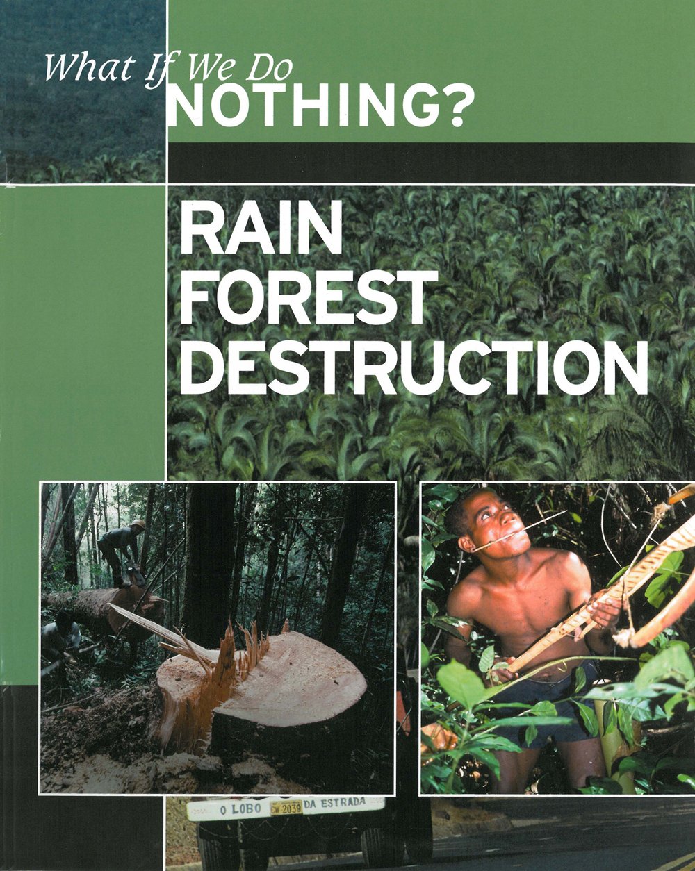 Rain Forest Destruction (What If We Do Nothing?)