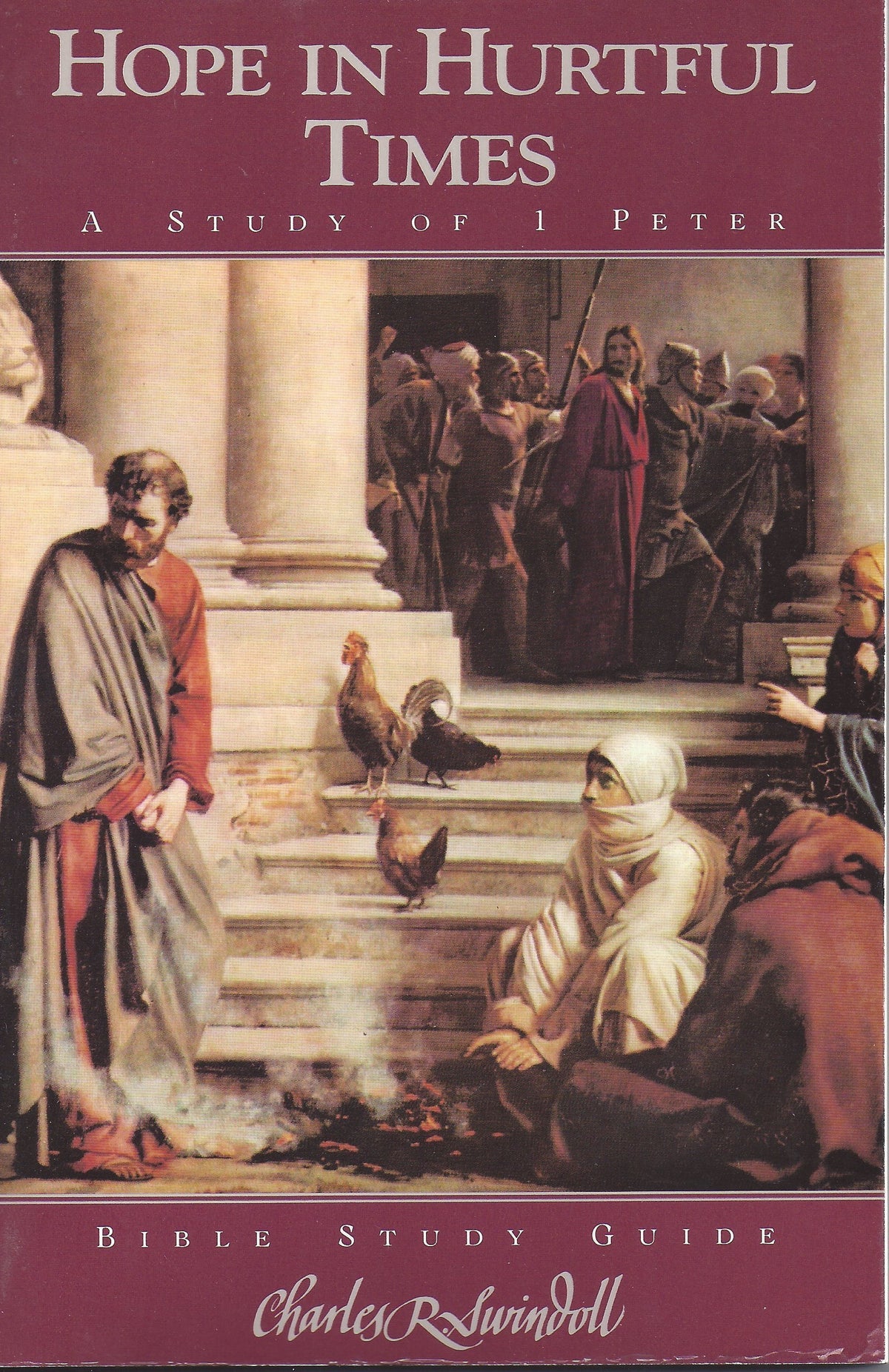 Hope in Hurtful Times: A Study of 1 Peter (Bible Study Guide)