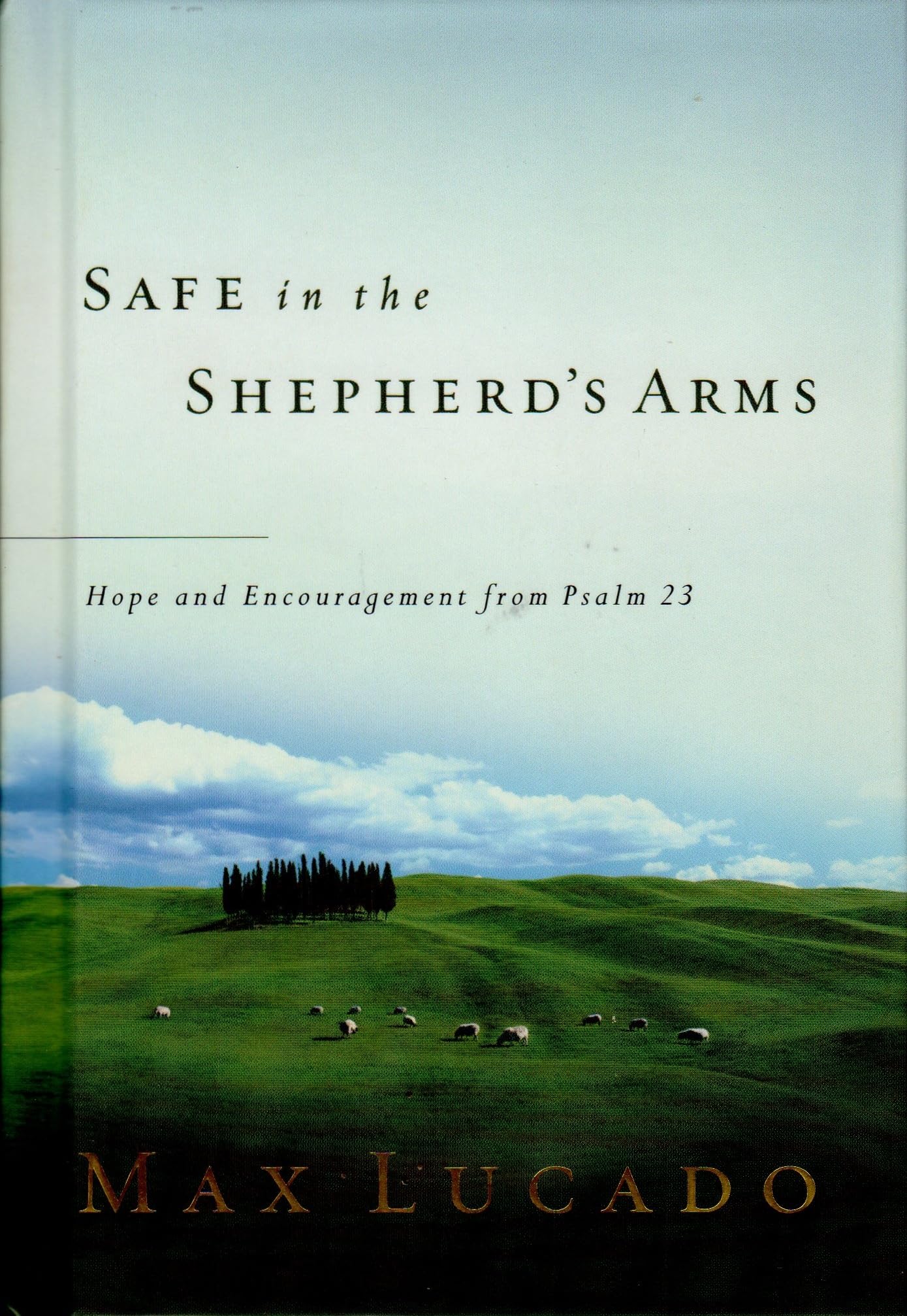 Safe in the Shepherd's Arms
