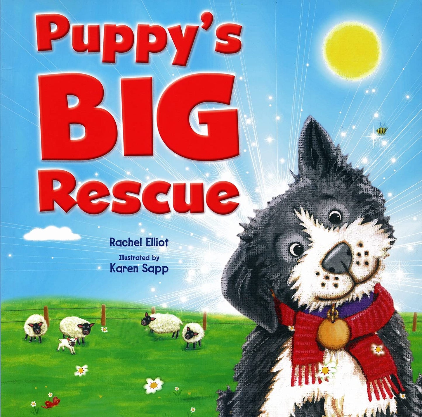 Puppy's Big Rescue (Picture Flats)