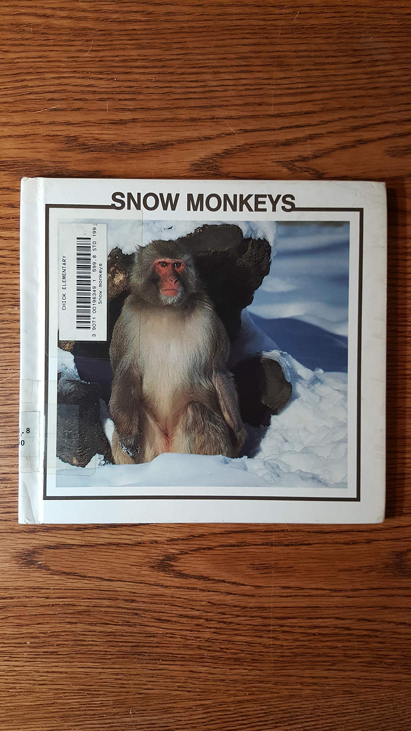 Snow Monkeys (Monkey Discovery Library)