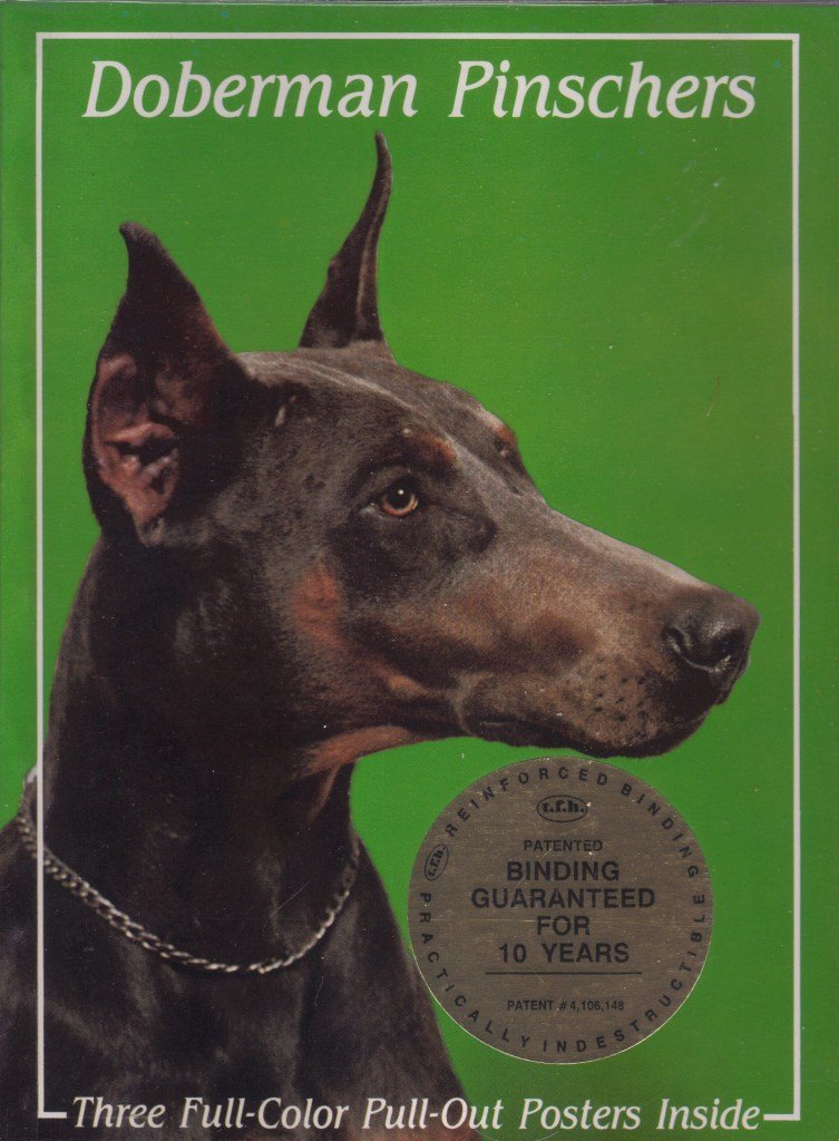 Doberman Pinschers (Pb-107)