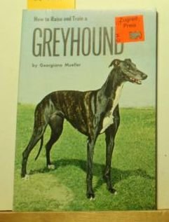 How to Raise and Train a Greyhound
