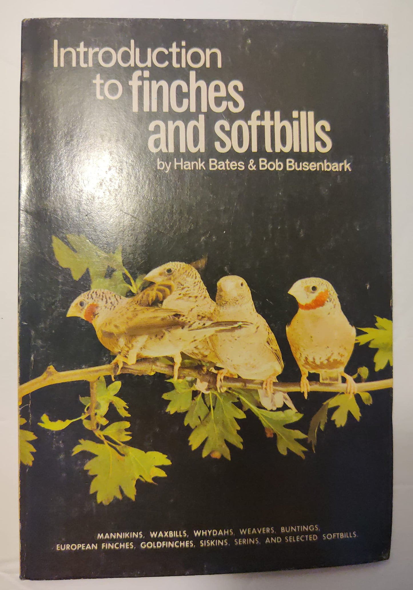 Introduction to Finches and Softbills