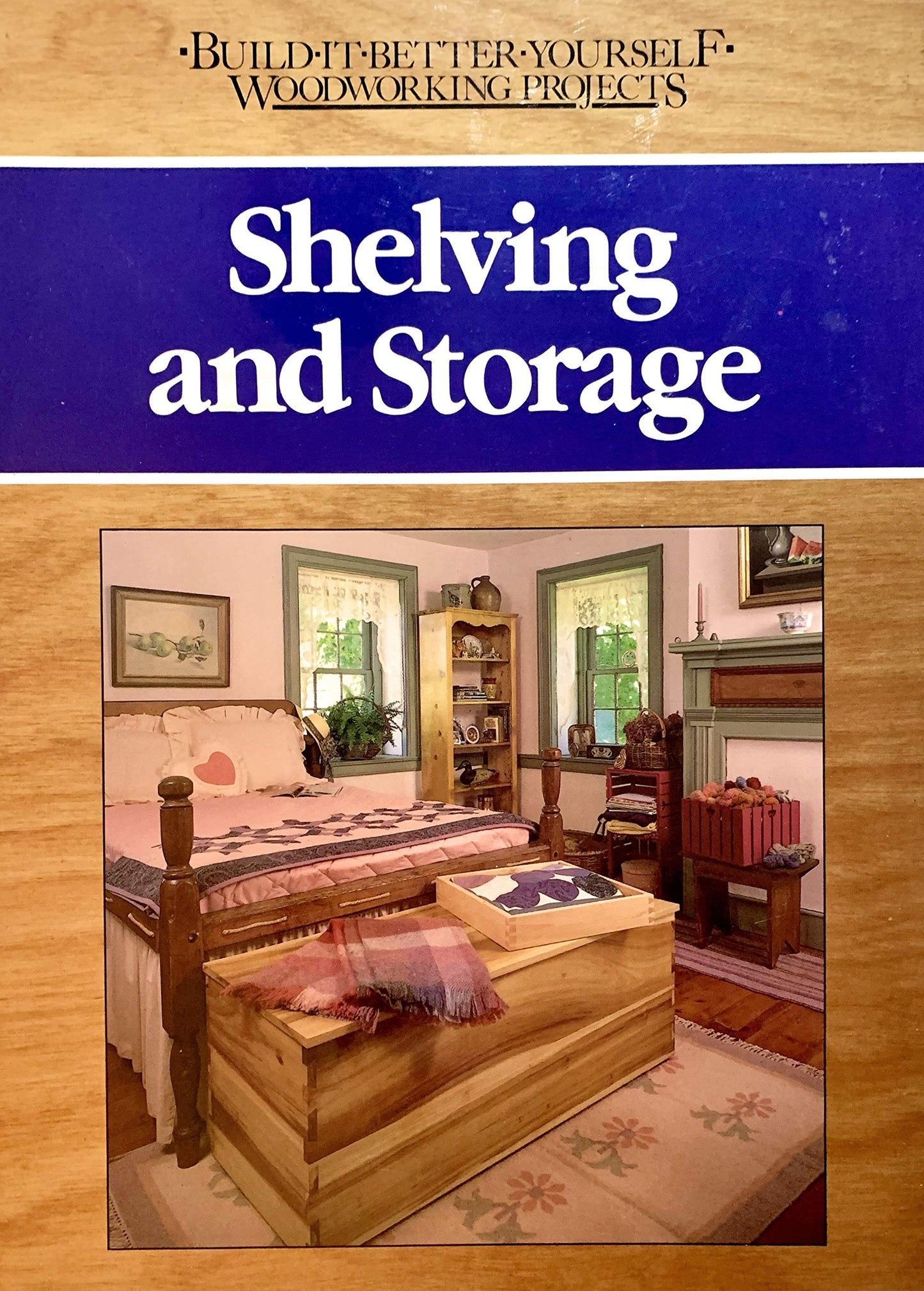 Shelving and Storage (Build-It-Better-Yourself Woodworking Projects)