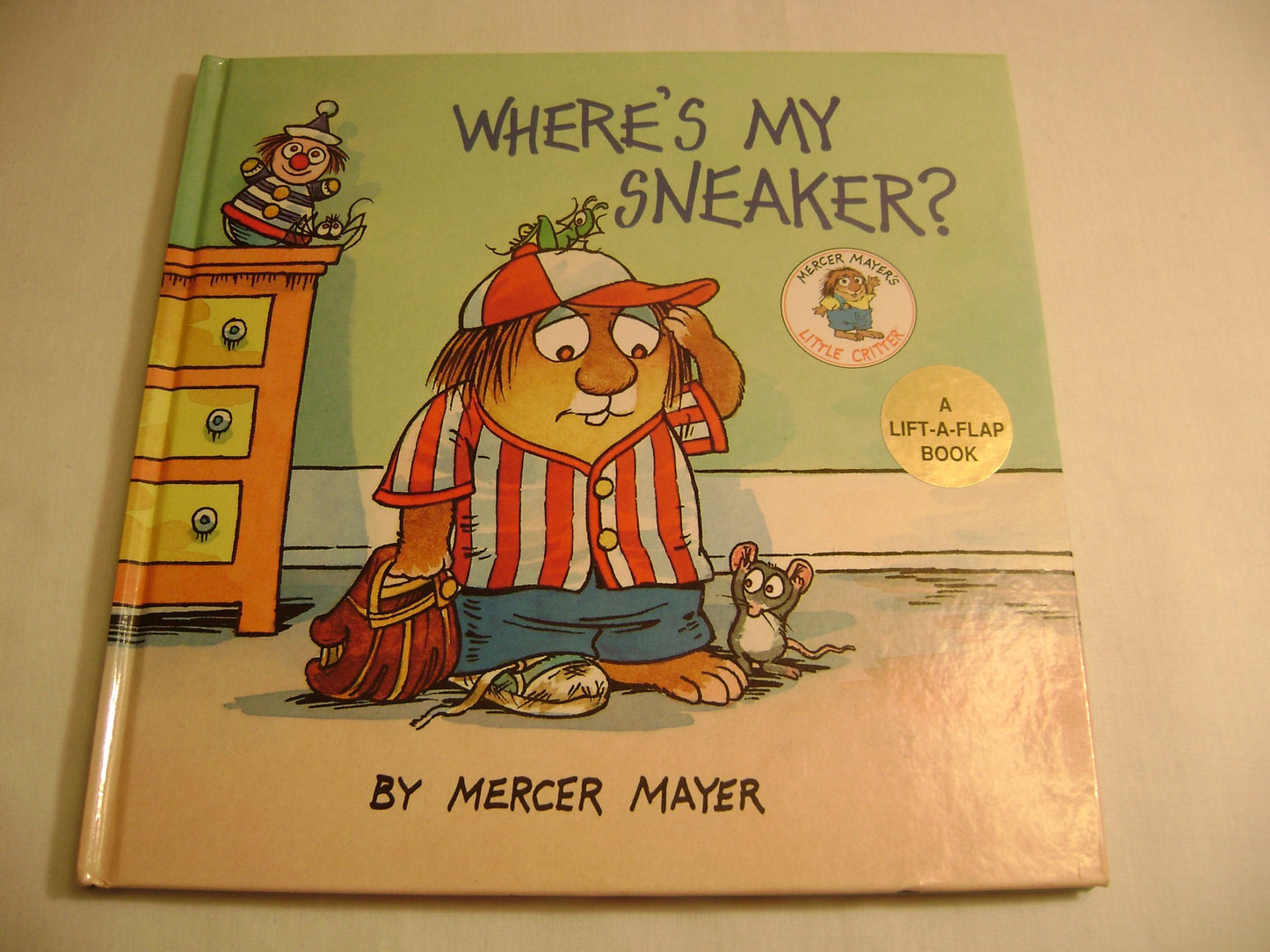 Where's My Sneaker? (A Lift the Flap Book)