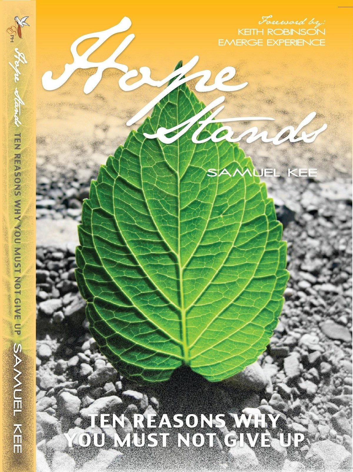 Hope Stands - Ten Reasons Why You Must Not Give Up