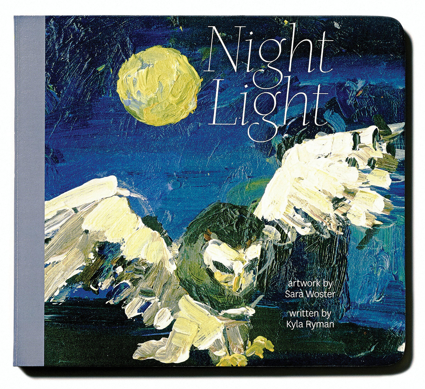 Night Light (The Toddler Series)