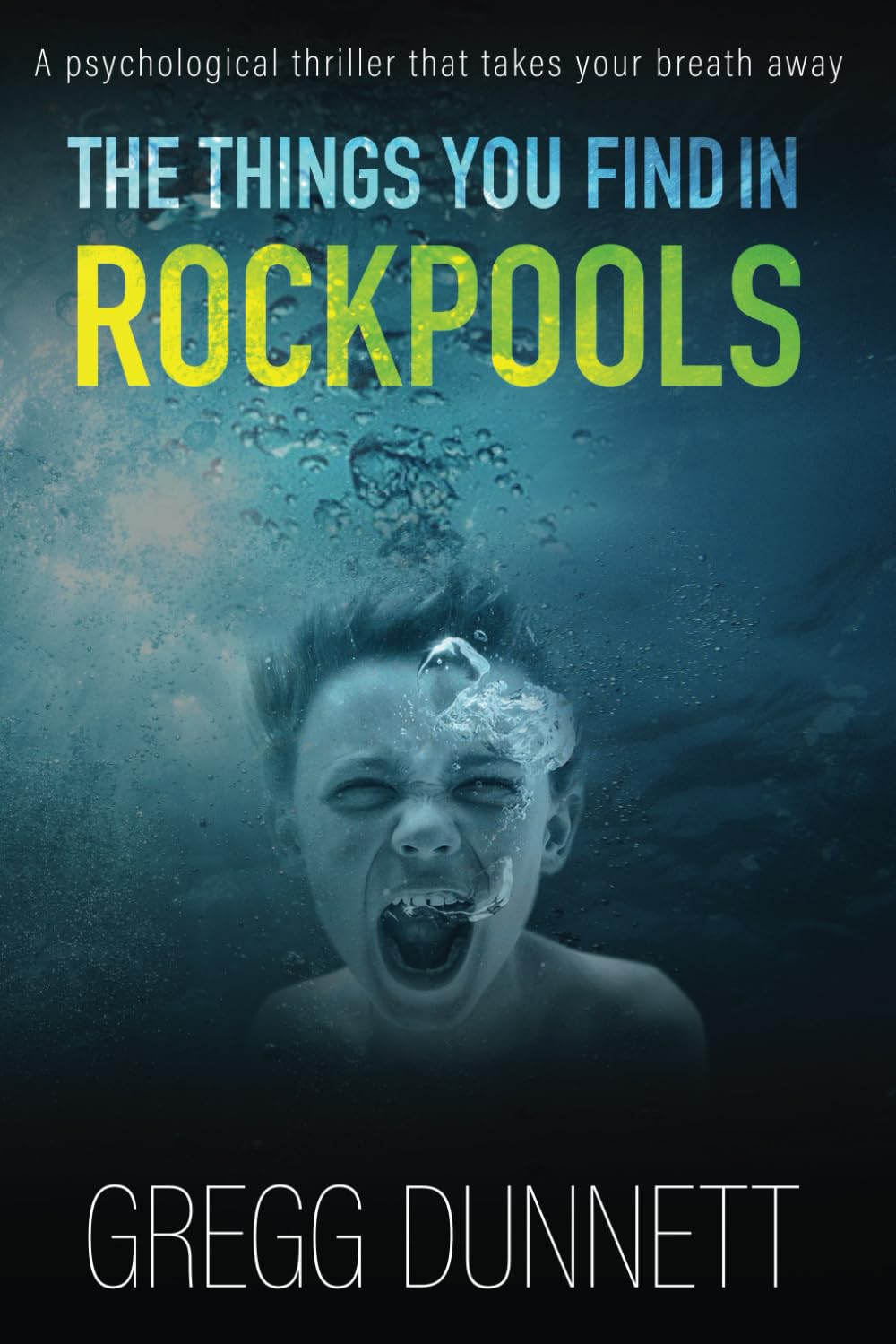 The Things you find in Rockpools