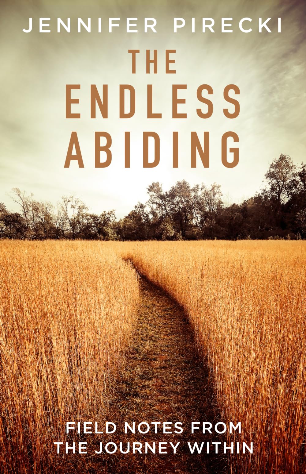 The Endless Abiding: Field Notes from the Journey Within