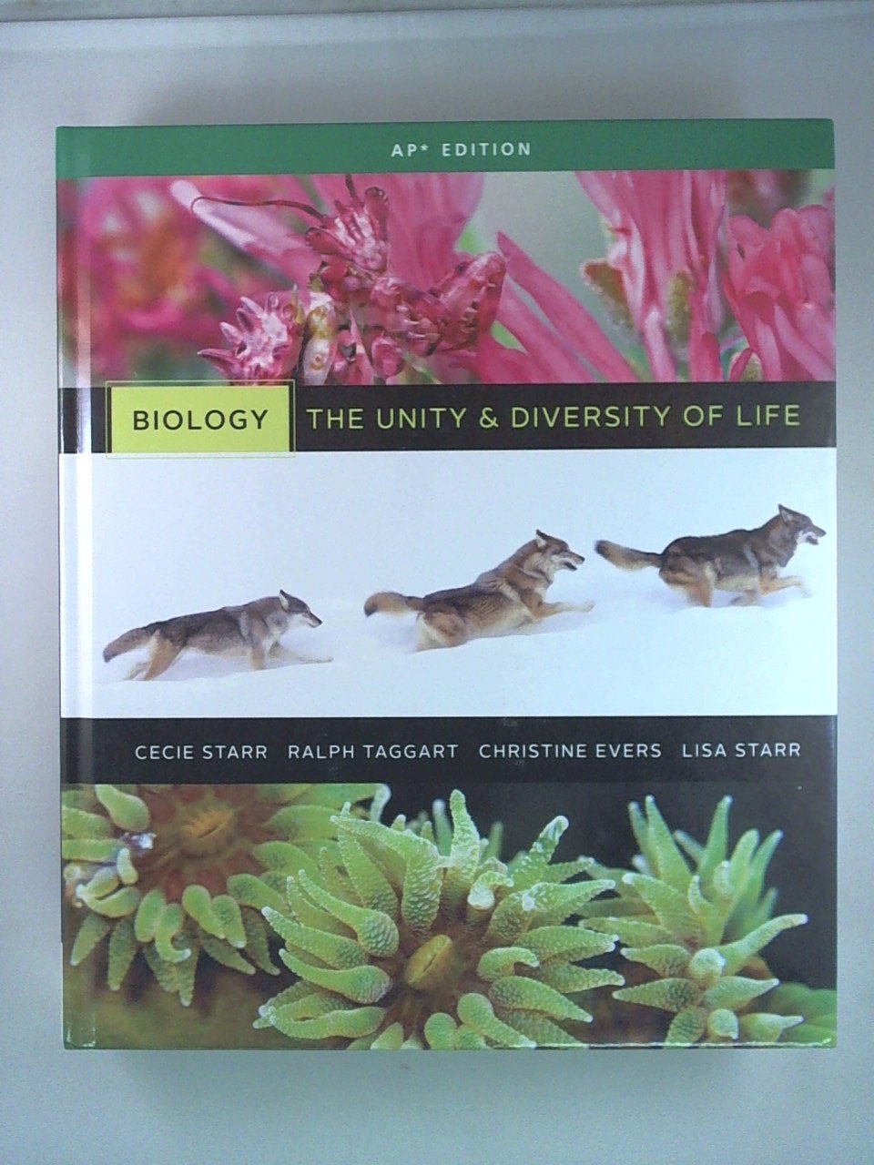 Hs Level 4 Biology Udl 13e