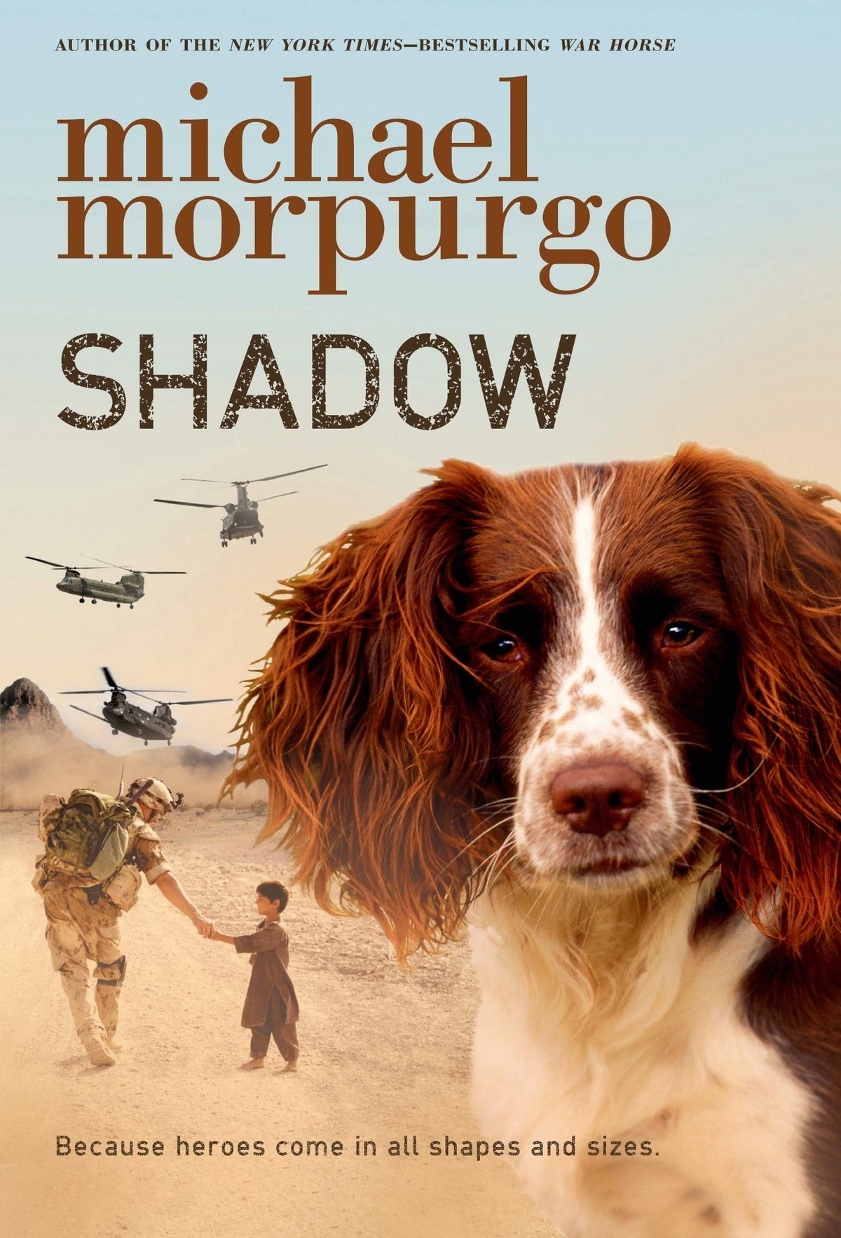 Shadow