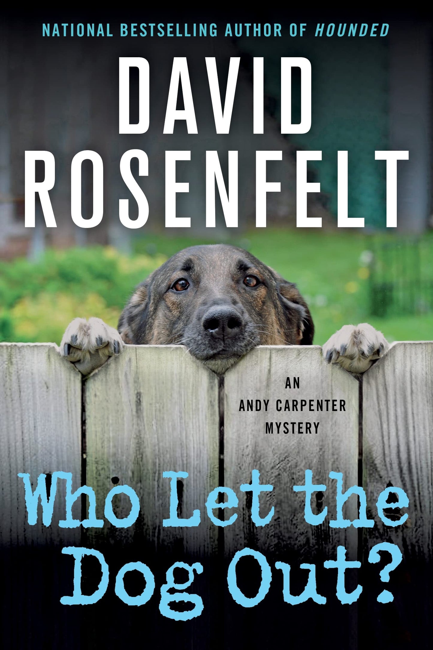 Who Let the Dog Out?: An Andy Carpenter Mystery (An Andy Carpenter Novel, 13)