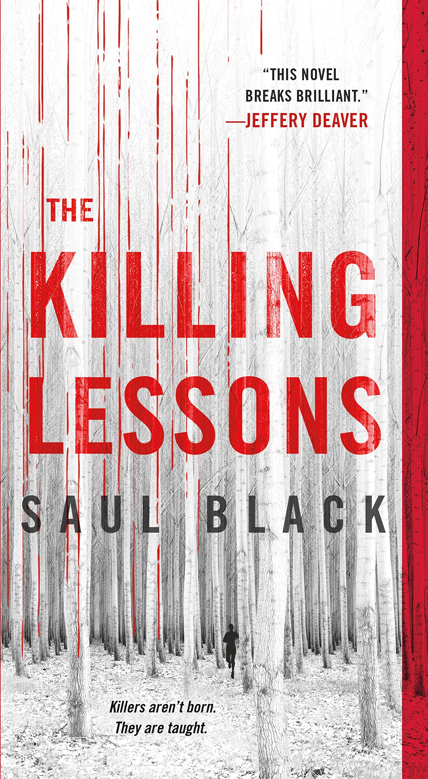 The Killing Lessons: A Novel (Valerie Hart, 1)