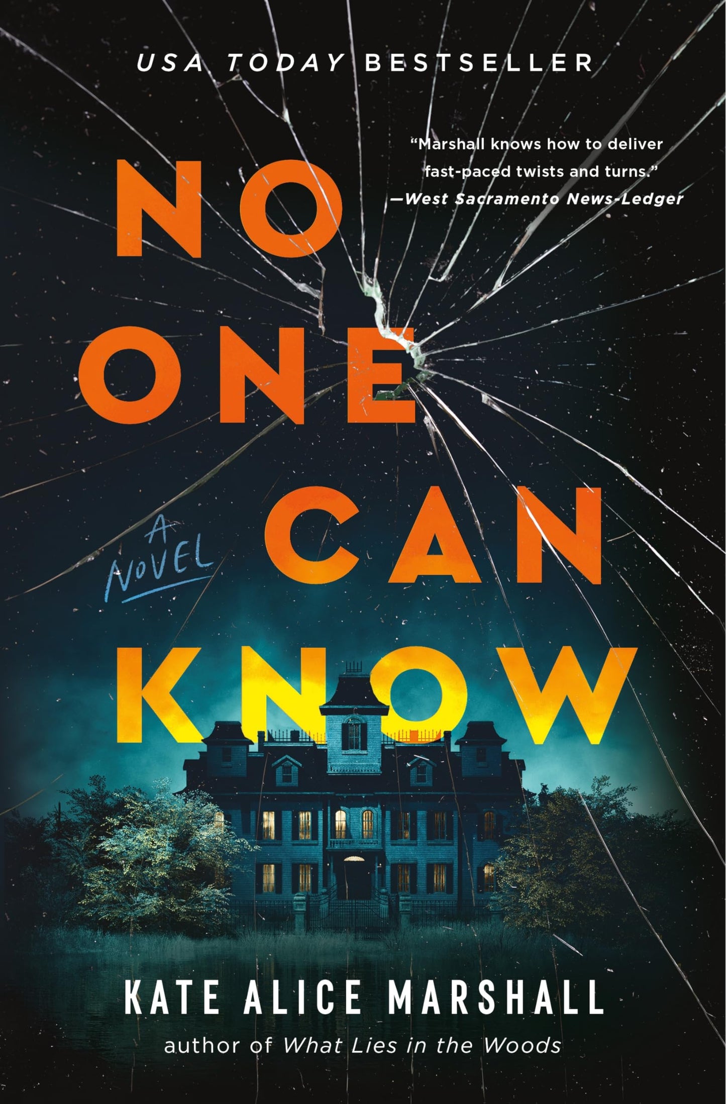No One Can Know: A Novel