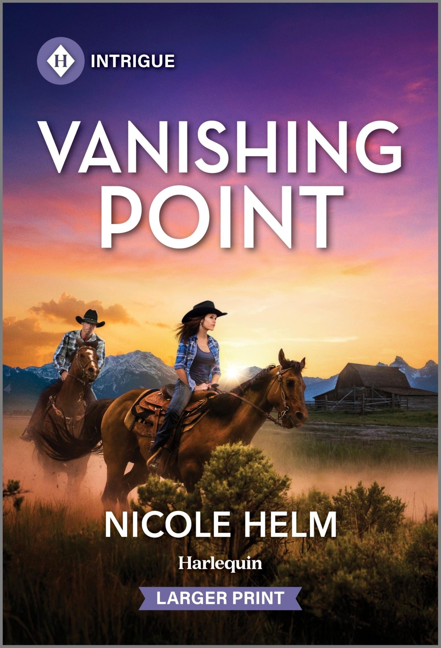 Vanishing Point (Bent County Protectors, 1)