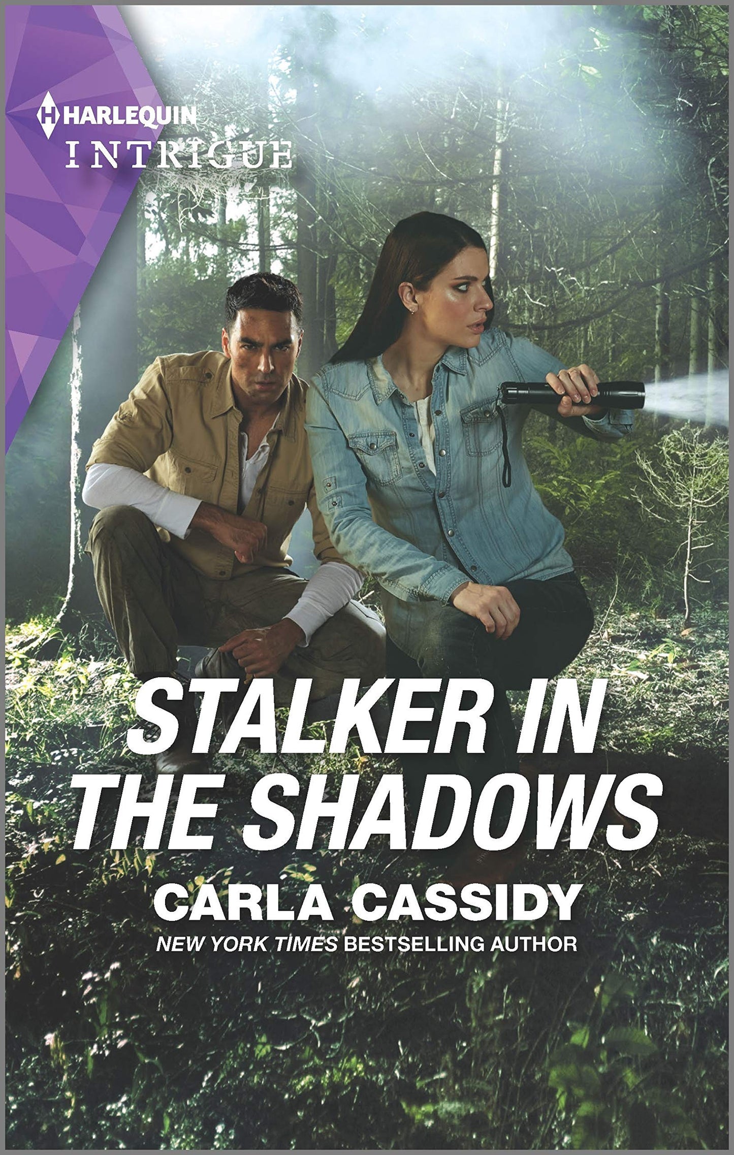 Stalker in the Shadows (Harlequin Intrigue, 1988)