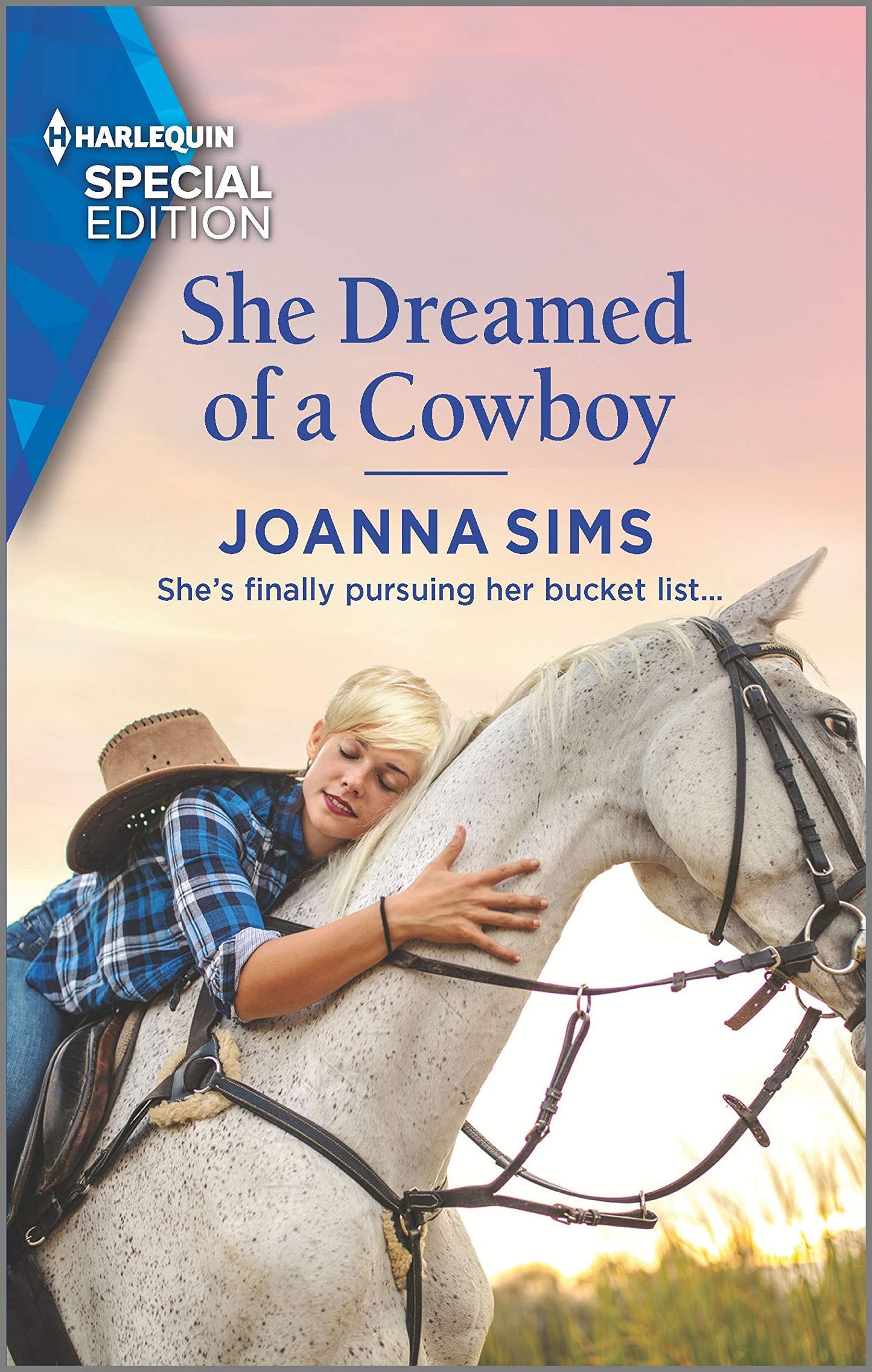 She Dreamed of a Cowboy (The Brands of Montana, 11)