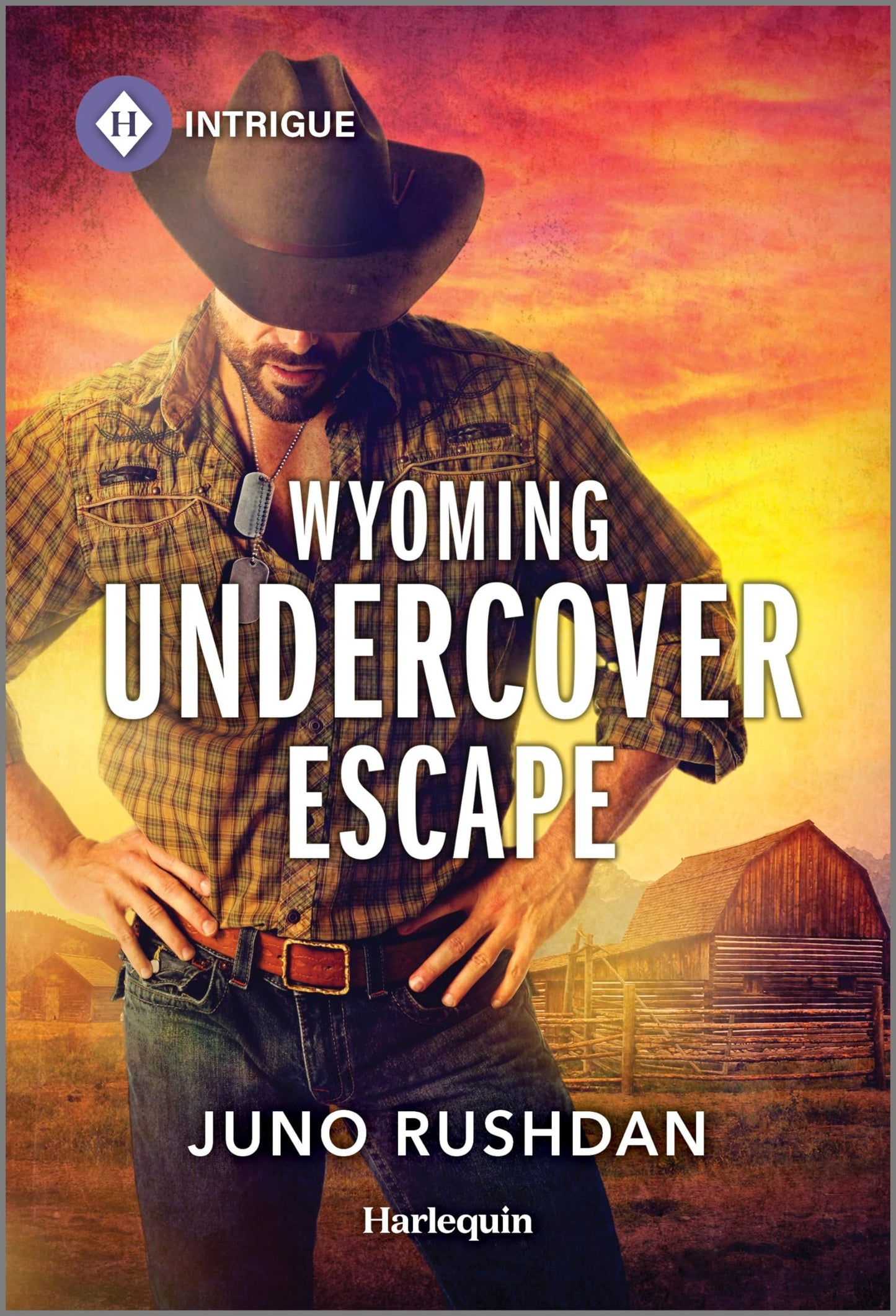 Wyoming Undercover Escape (Cowboy State Lawmen: Duty and Honor, 3)