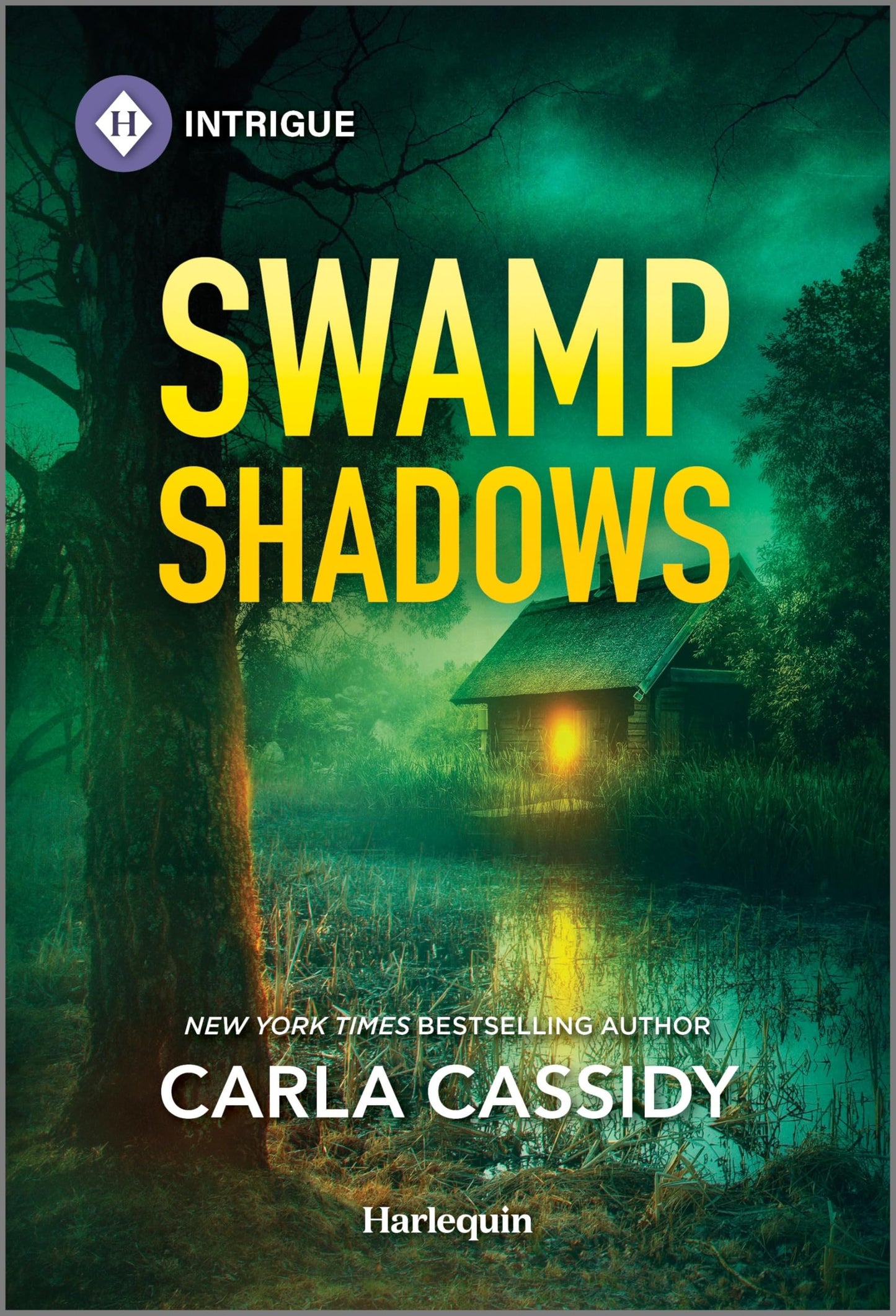 Swamp Shadows (Marsh Mysteries, 2)