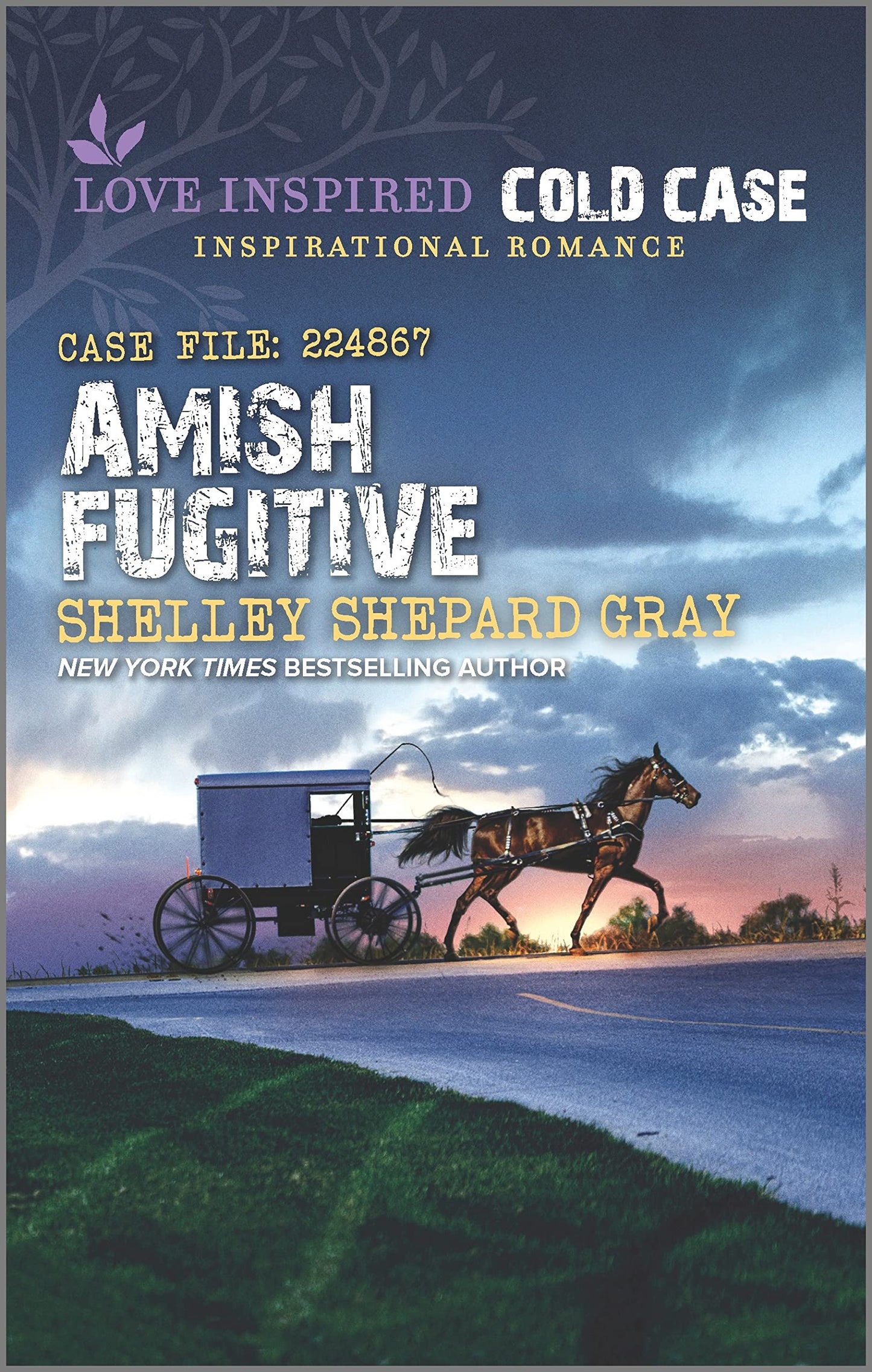 Amish Fugitive (Love Inspired Cold Case)