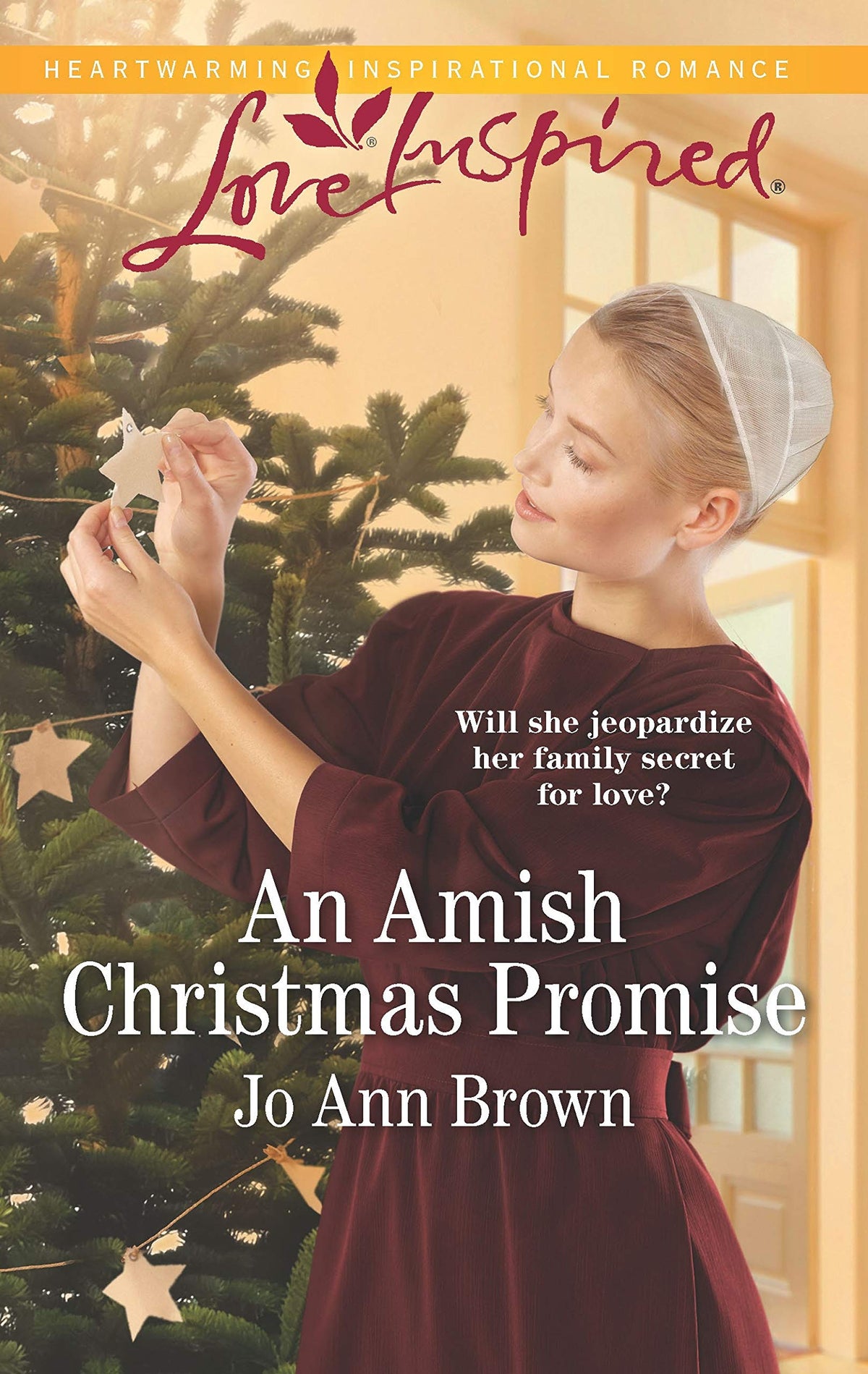 An Amish Christmas Promise (Green Mountain Blessings, 1)