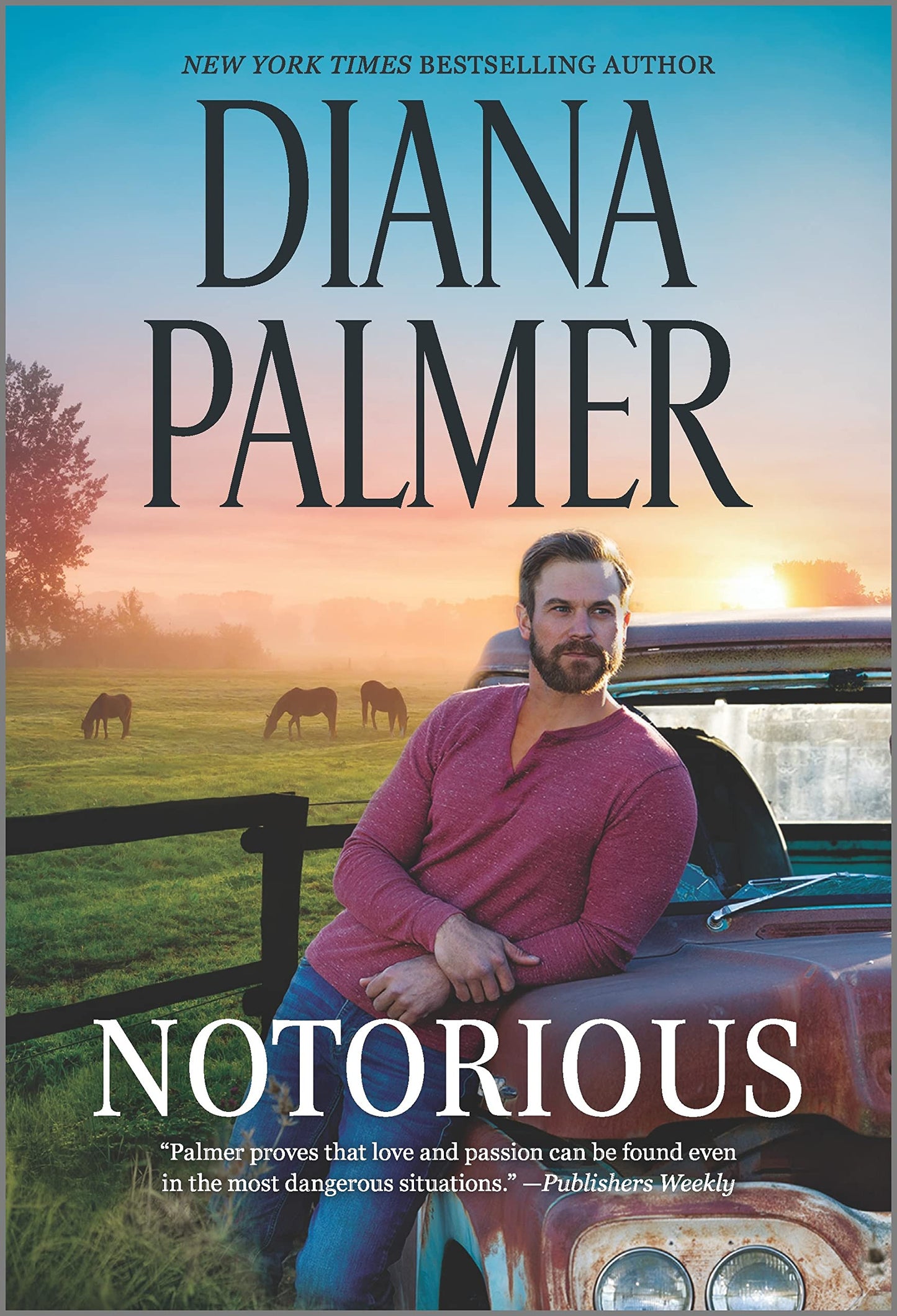 Notorious: A Novel – A Steamy Small-Town Cowboy Romance (Long, Tall Texans, 51)