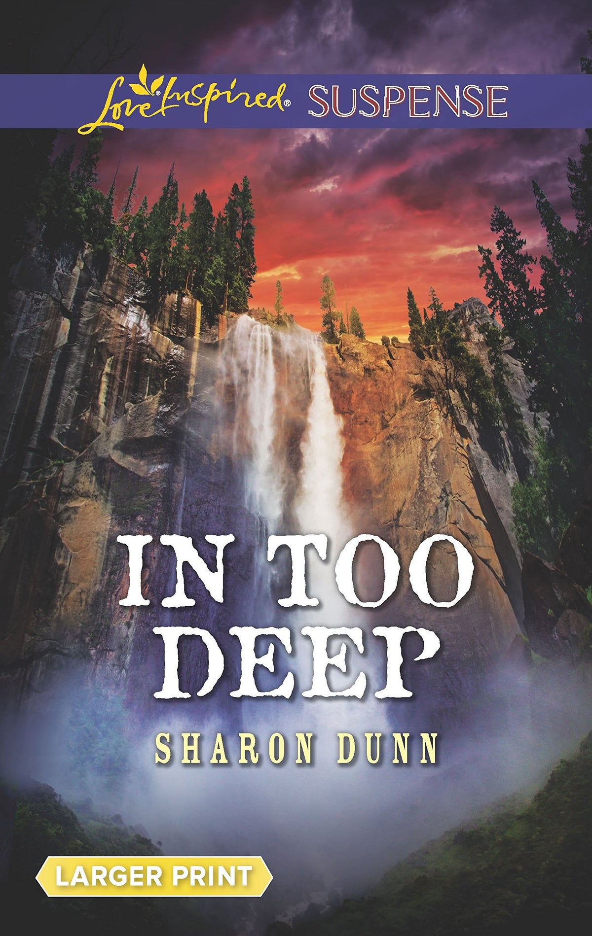 In Too Deep (Love Inspired Suspense)