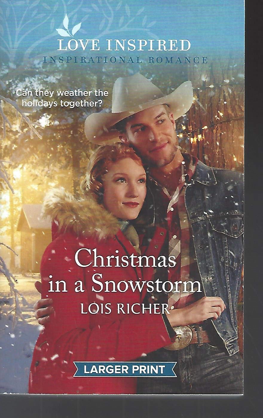 Christmas in a Snowstorm