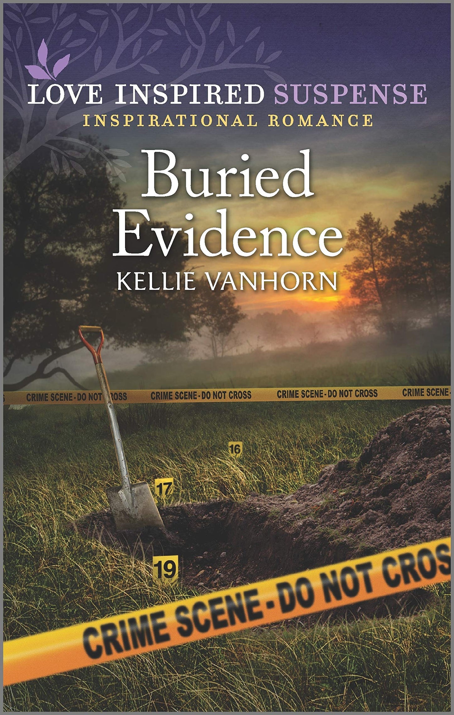 Buried Evidence (Love Inspired Suspense; Inspirational Romance, 2)