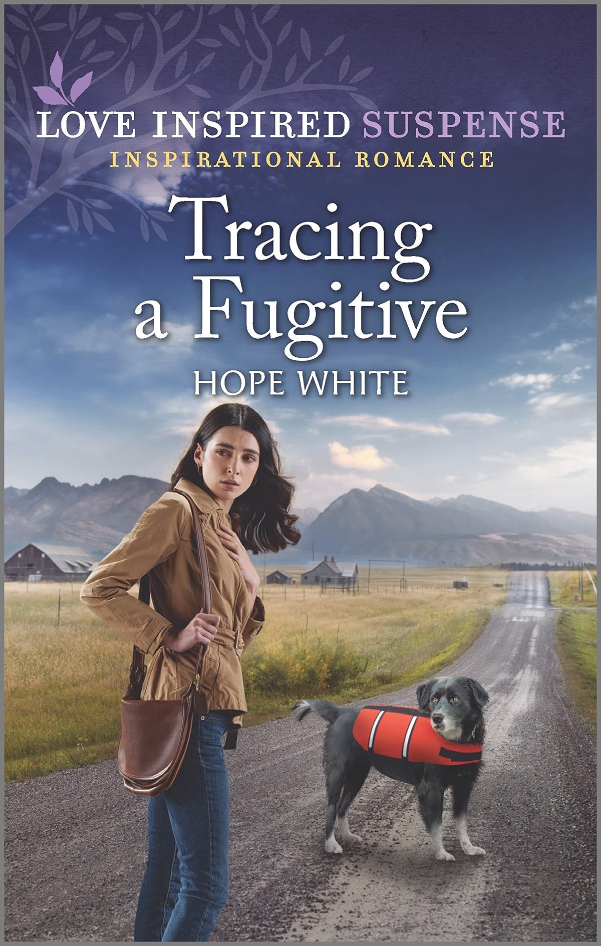 Tracing a Fugitive (Boulder Creek Ranch, 2)