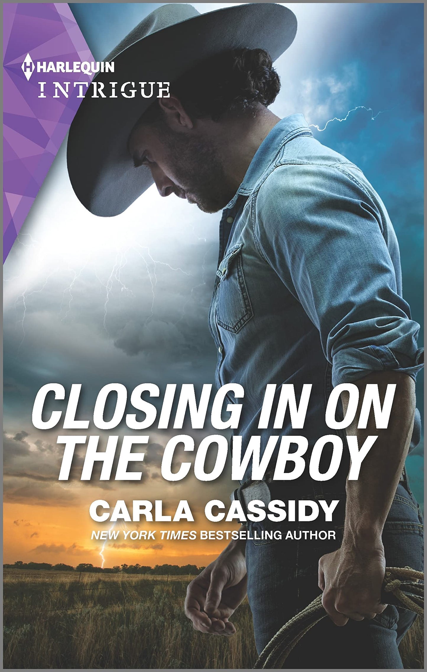 Closing in on the Cowboy: A Mystery Novel (Kings of Coyote Creek, 1)