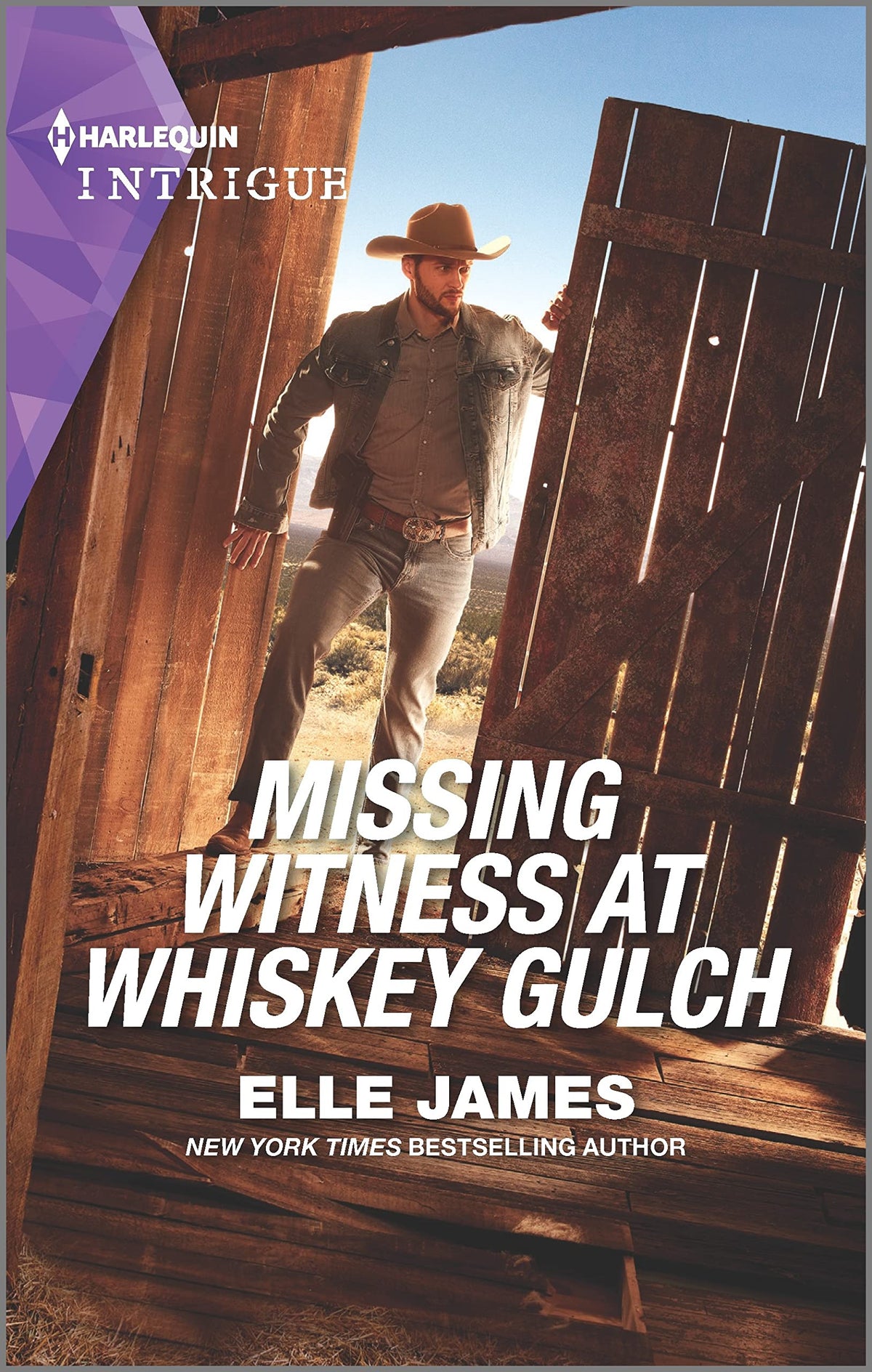 Missing Witness at Whiskey Gulch (The Outriders Series, 5)
