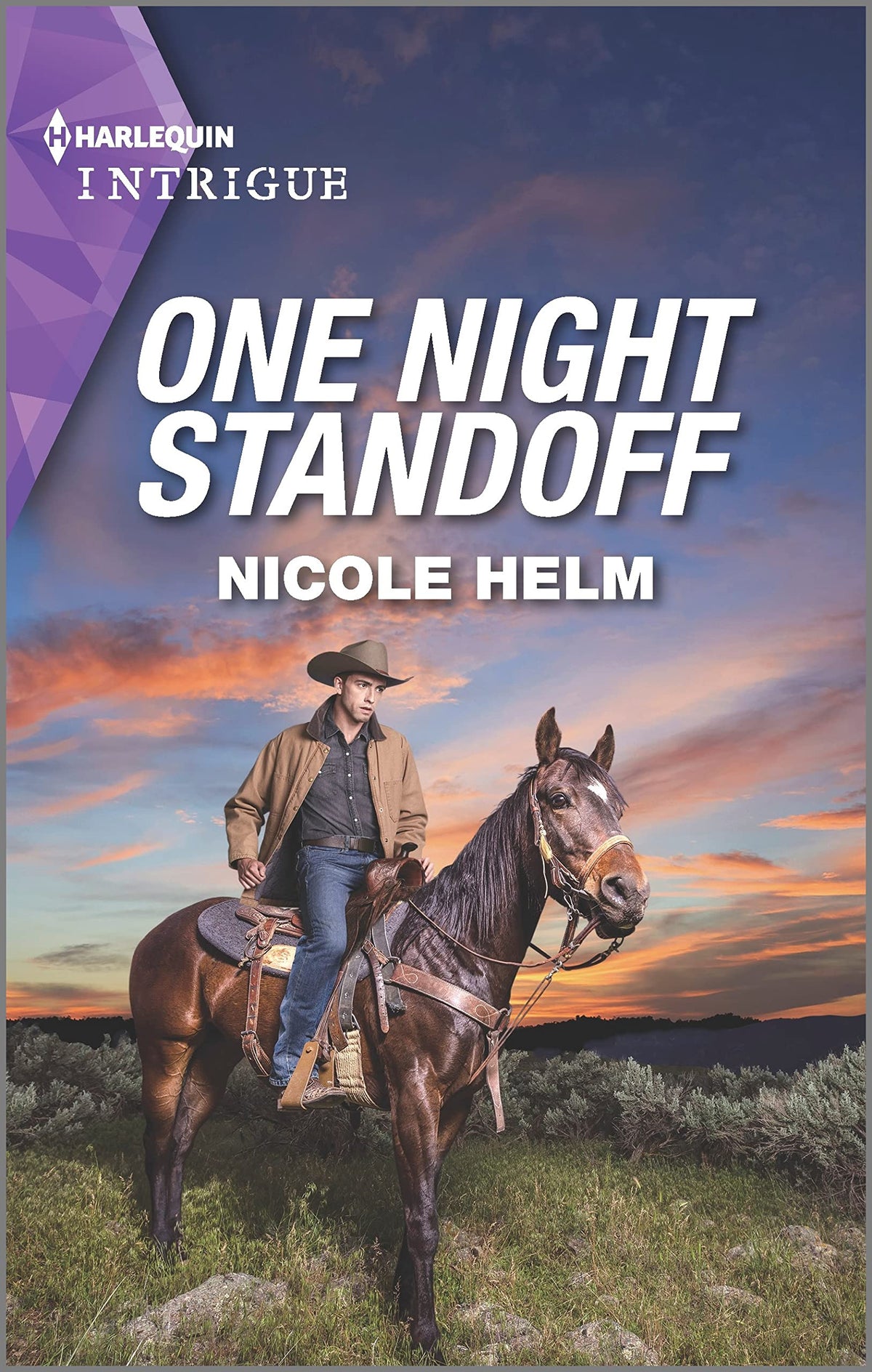 One Night Standoff: A Romantic Mystery (Covert Cowboy Soldiers, 3)