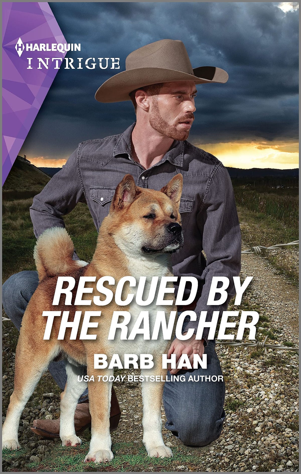 Rescued by the Rancher: A Montana Western Mystery (The Cowboys of Cider Creek, 1)