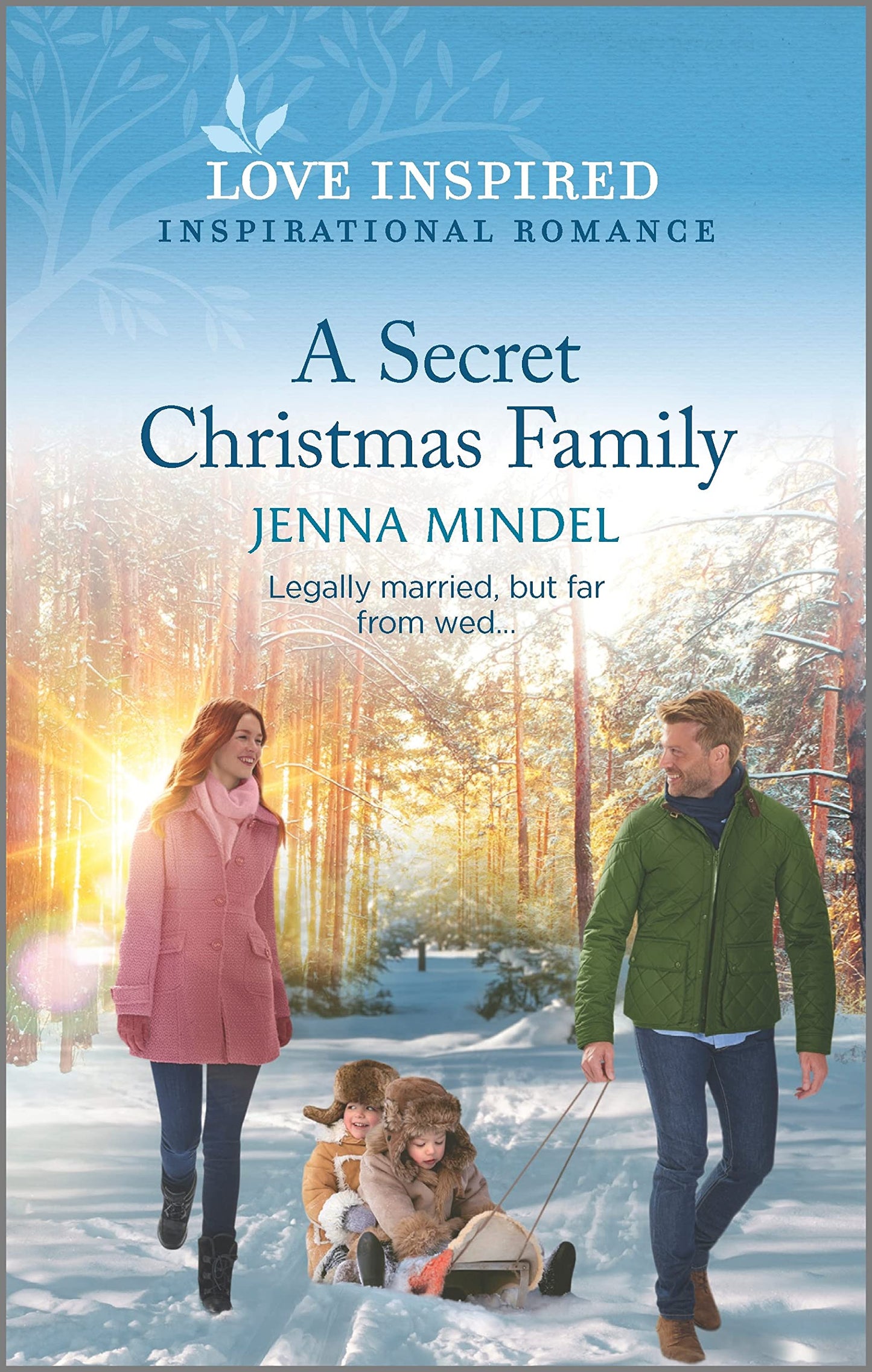 A SECRET CHRISTMAS FAMILY: AN UP
