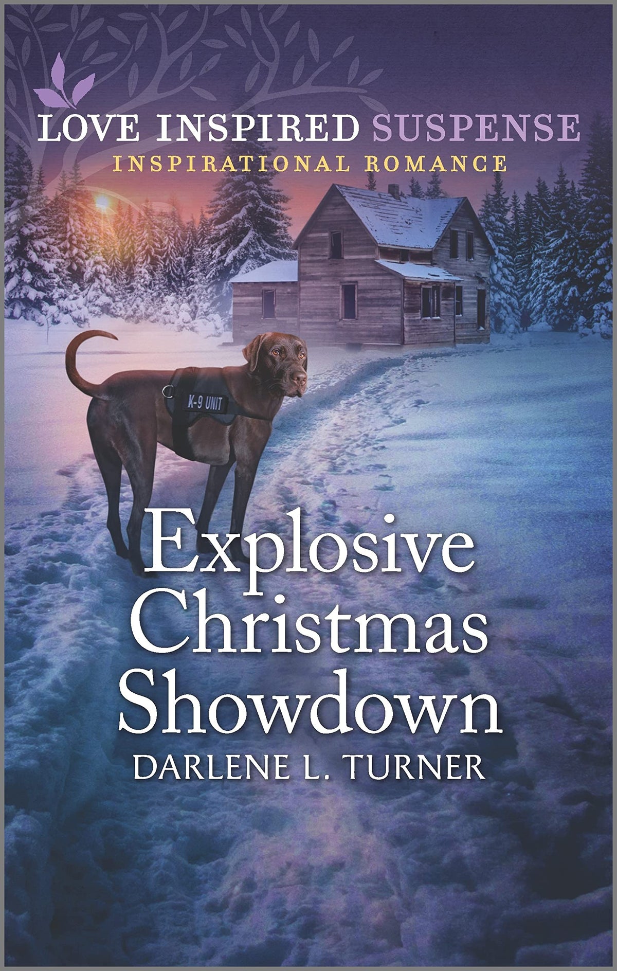 Explosive Christmas Showdown (Crisis Rescue Team, 2)