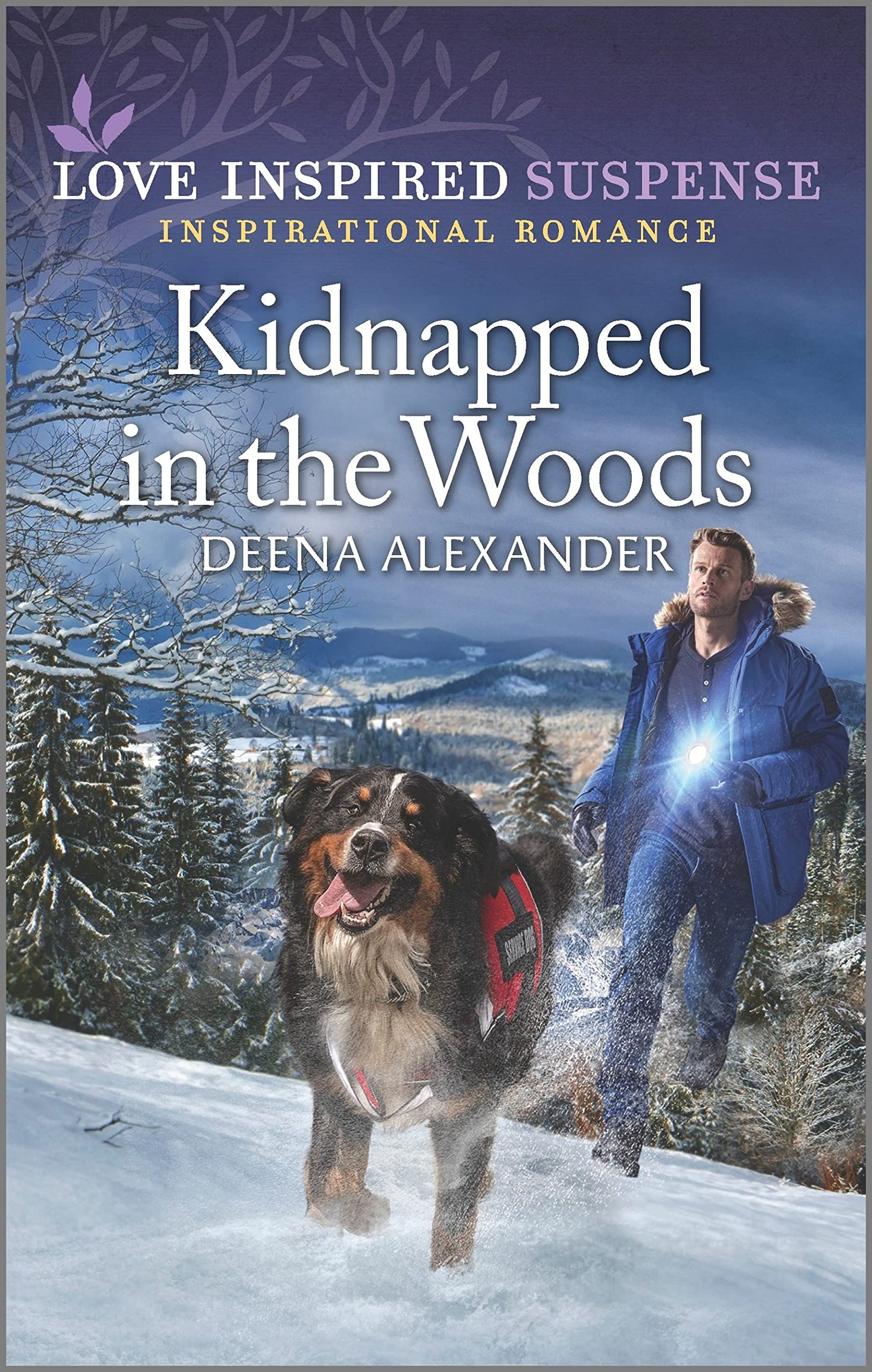 Kidnapped in the Woods (Love Inspired Suspense)