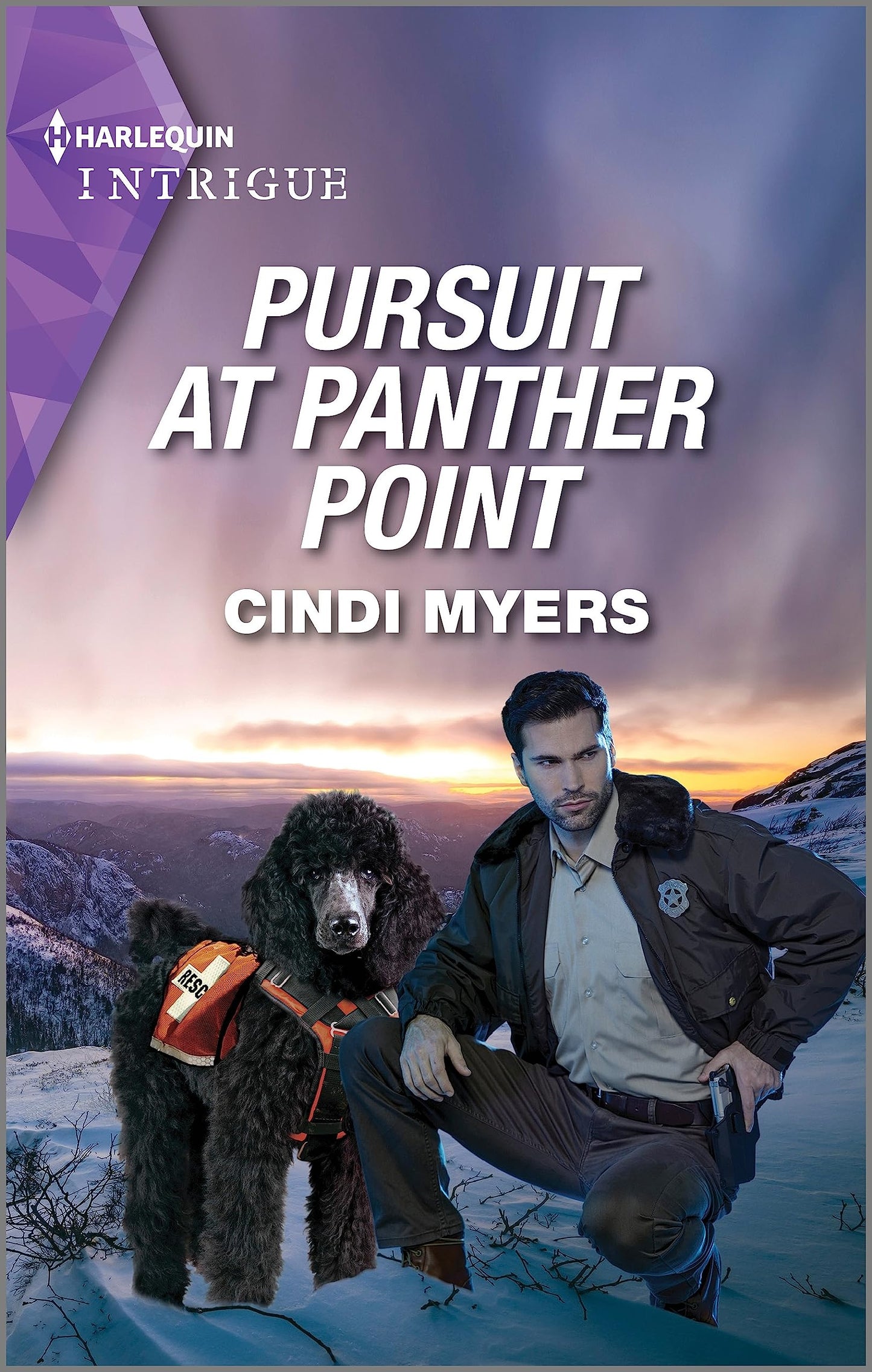 Pursuit at Panther Point (Eagle Mountain: Critical Response, 2)