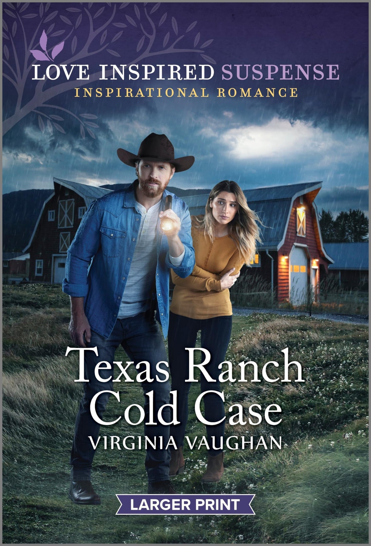 Texas Ranch Cold Case (Cowboy Protectors, 4)