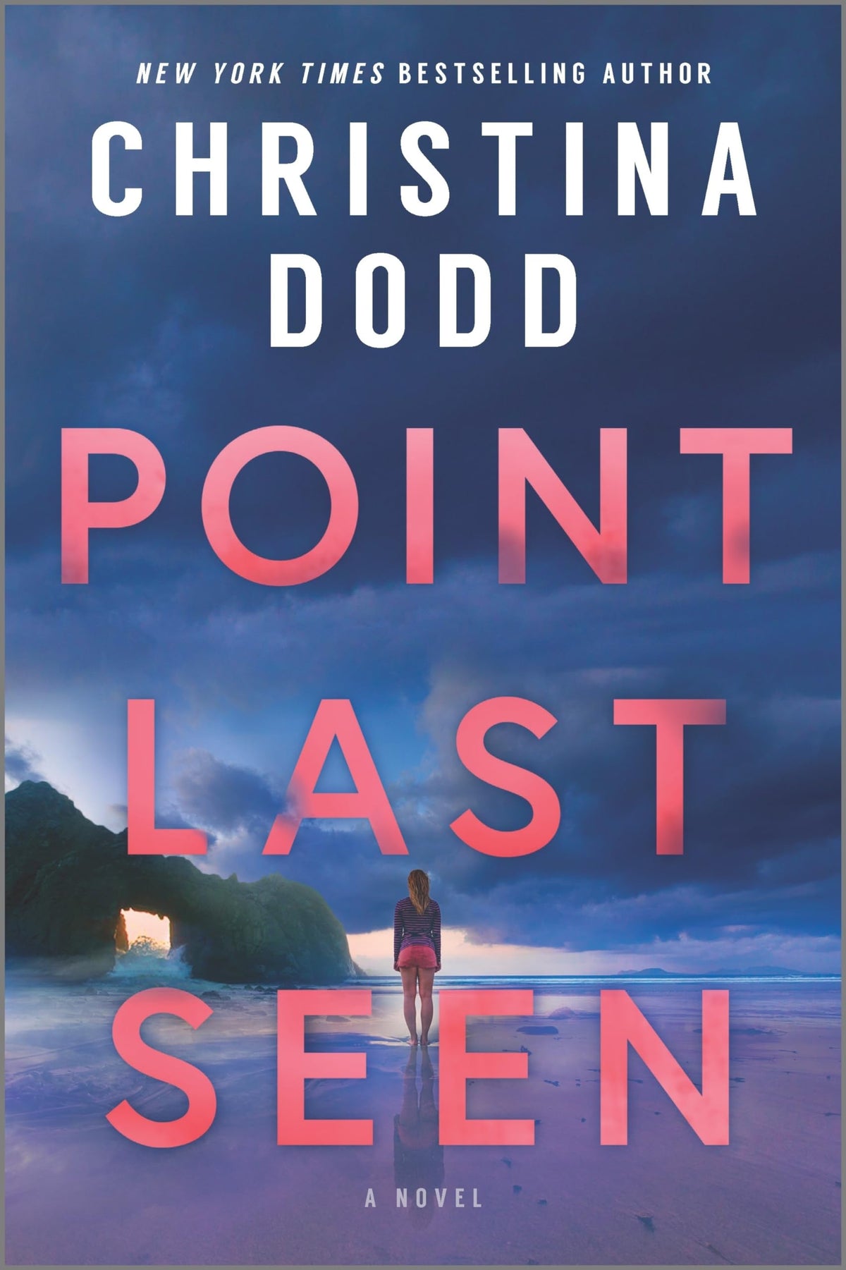 Point Last Seen: A Novel – A Chilling Mystery of Lost Identity and Deadly Secrets
