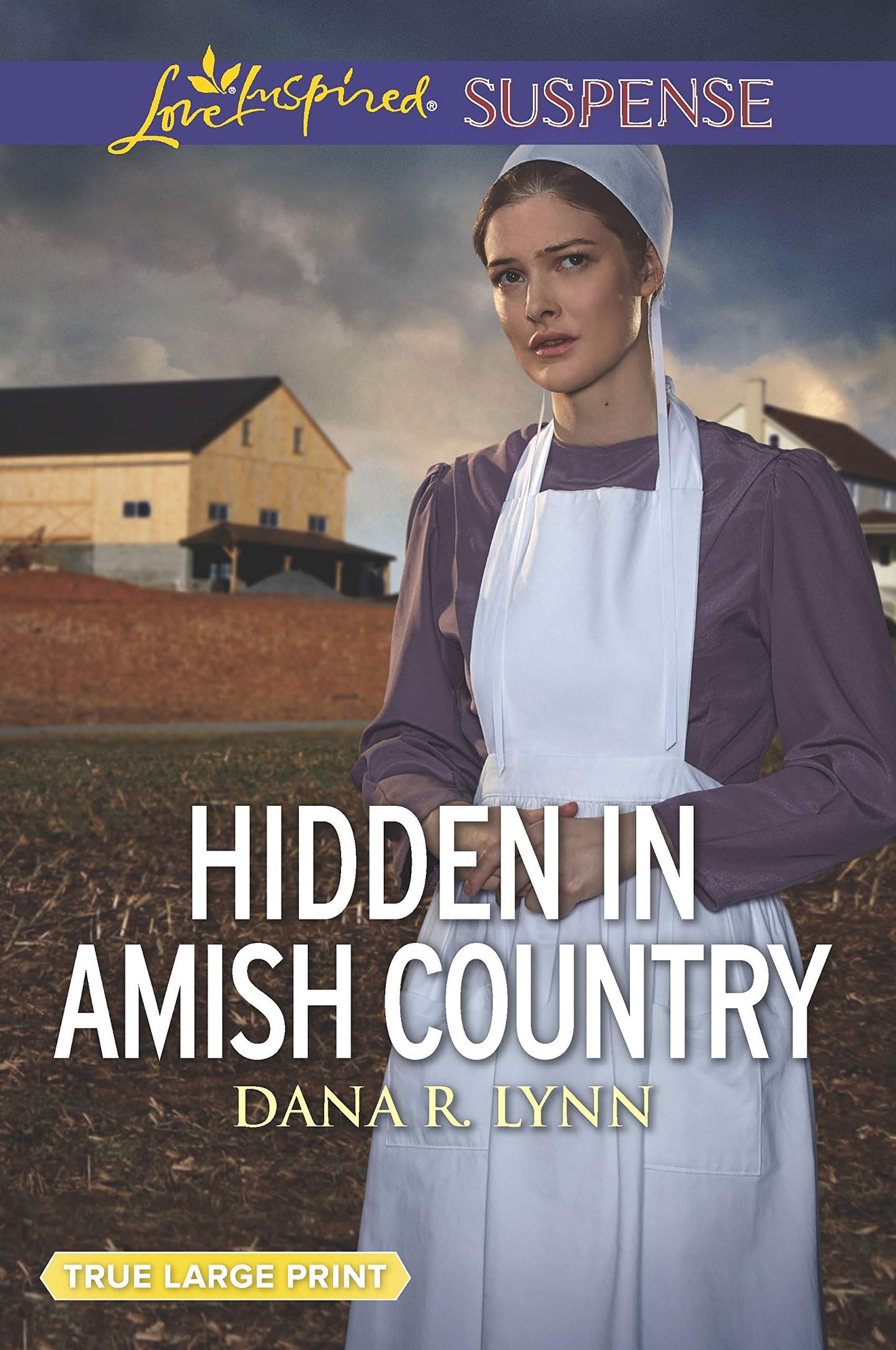 Hidden in Amish Country (Amish Country Justice, 7)