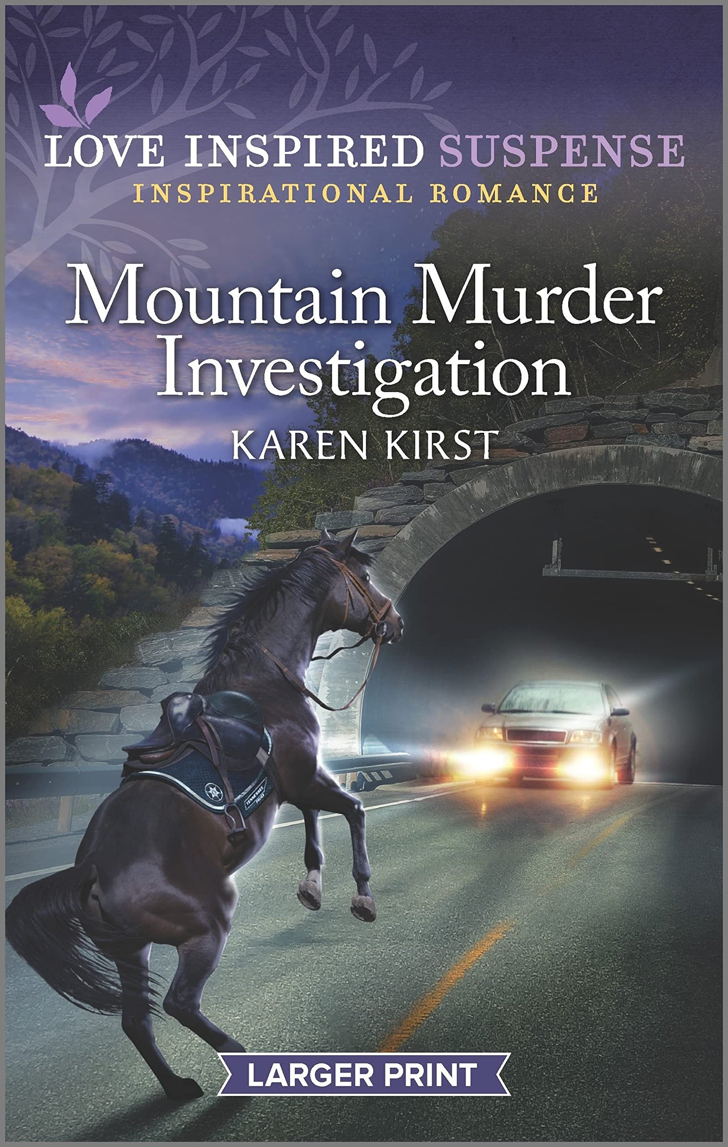 Mountain Murder Investigation (Smoky Mountain Defenders, 3)