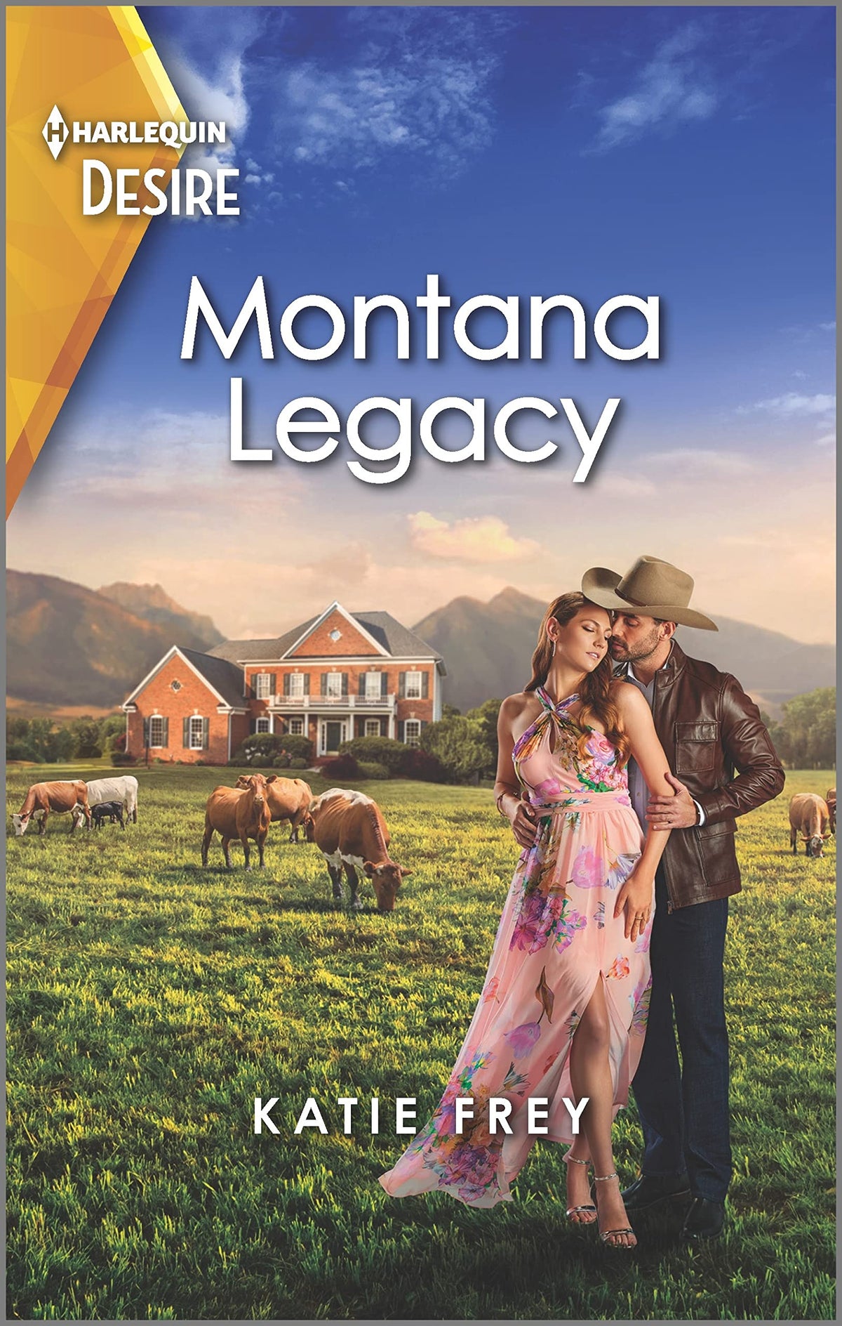 Montana Legacy: A Western, hidden identity romance (Harlequin Desire, 2871)
