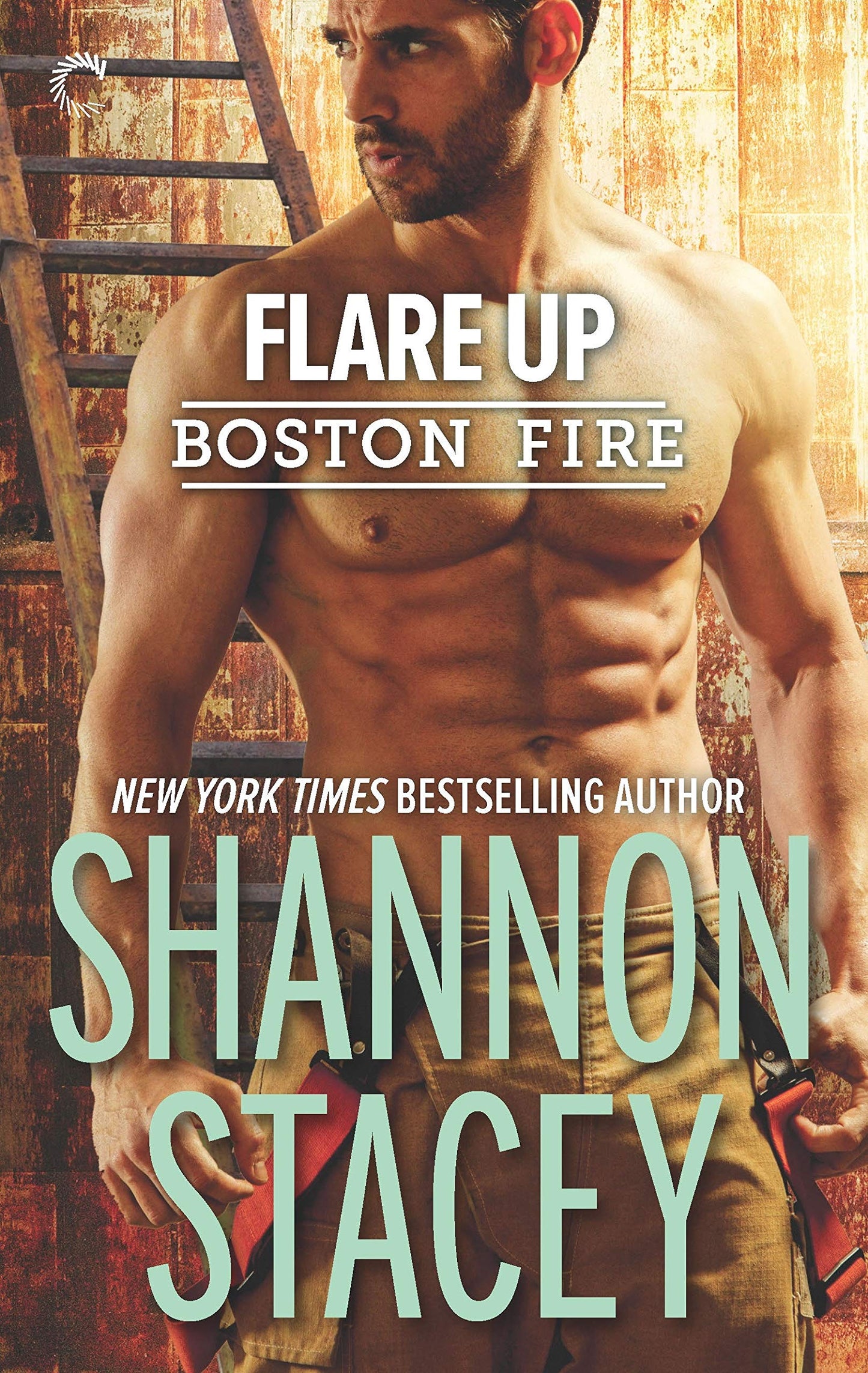 Flare Up: A Firefighter Romance (Boston Fire, 6)