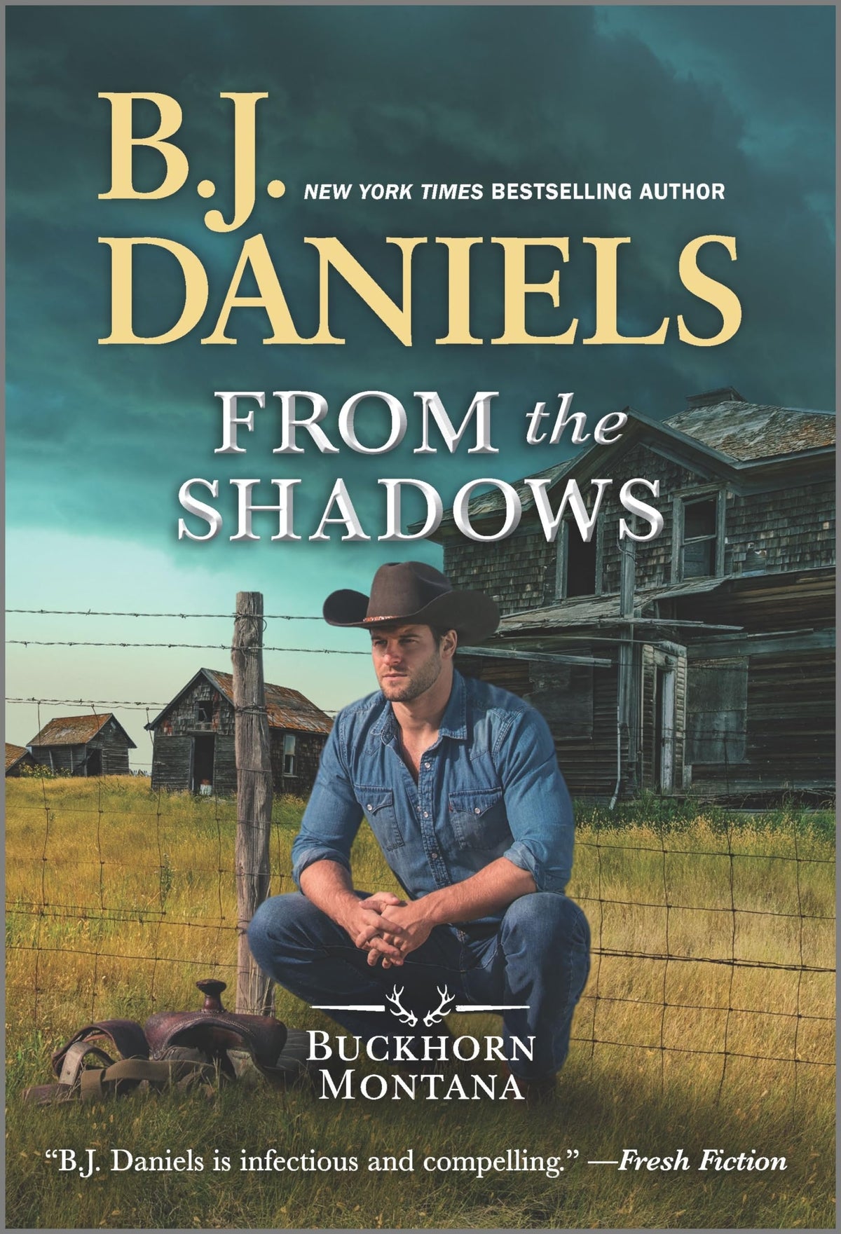 From the Shadows (A Buckhorn, Montana Novel, 2)