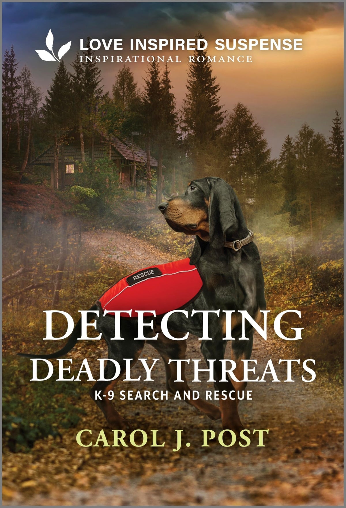 Detecting Deadly Threats: A Clean K-9 Search and Rescue Inspirational Suspense Romance